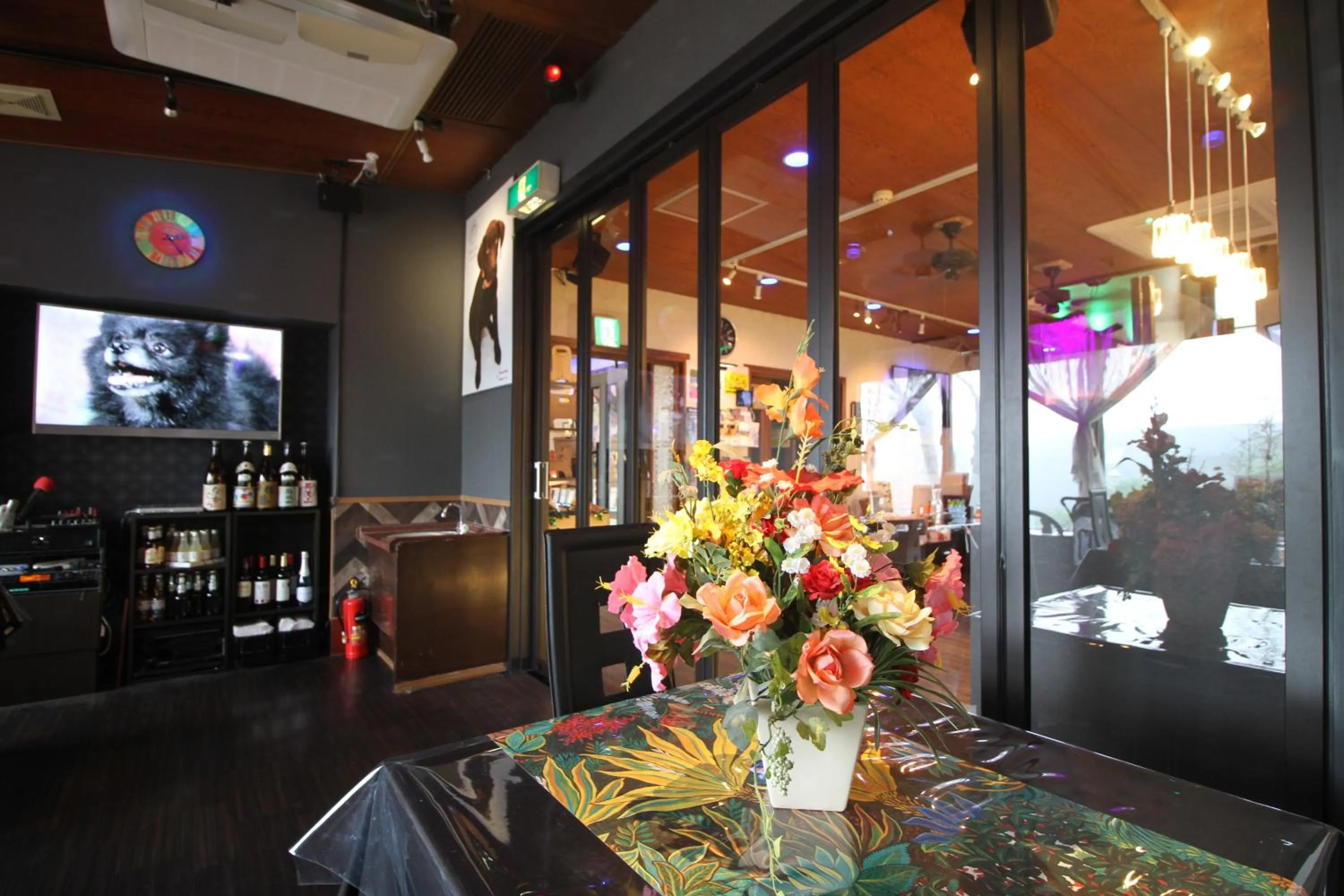 Hakone Gora Guam Dog