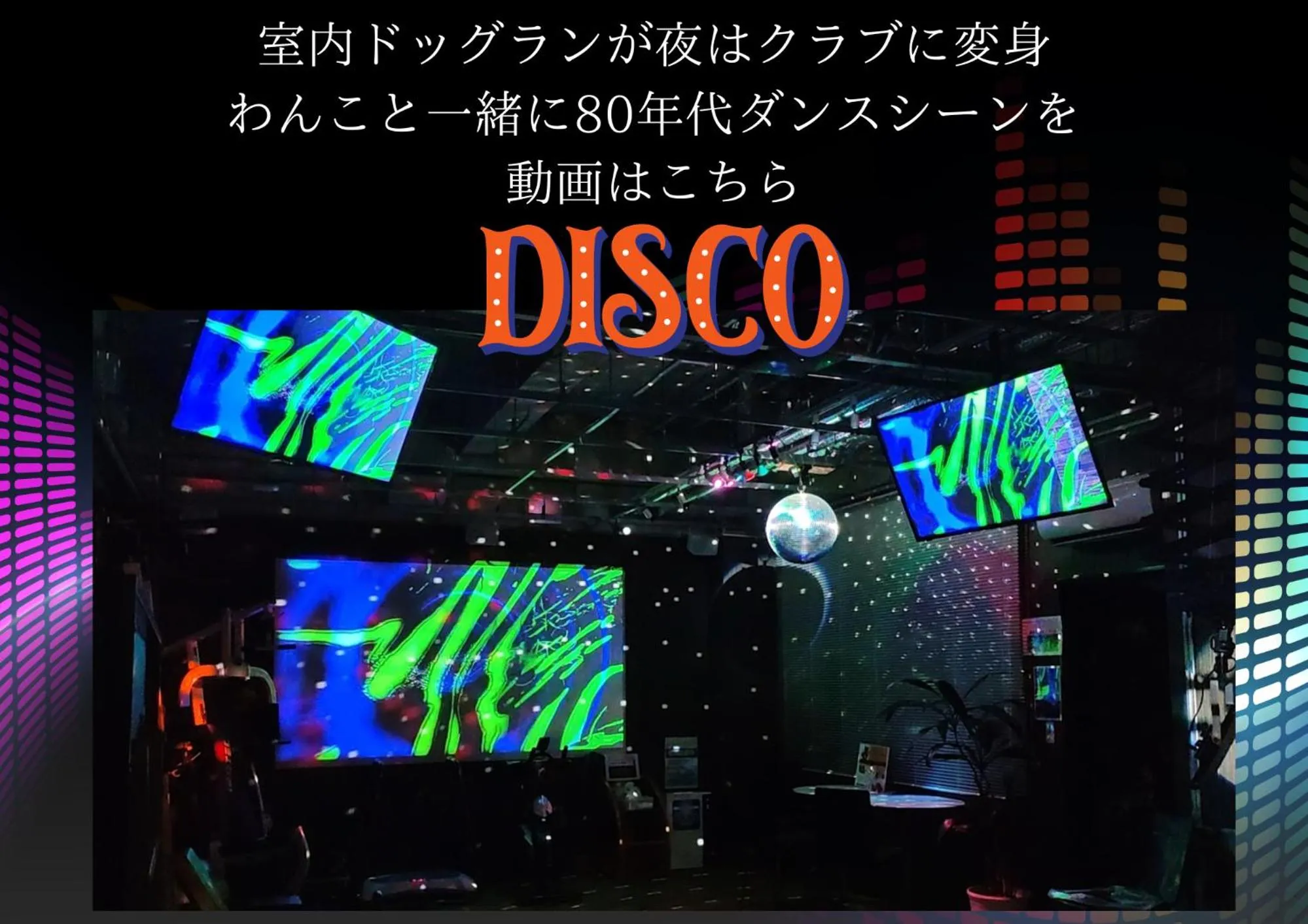 Hakone Gora Guam Dog