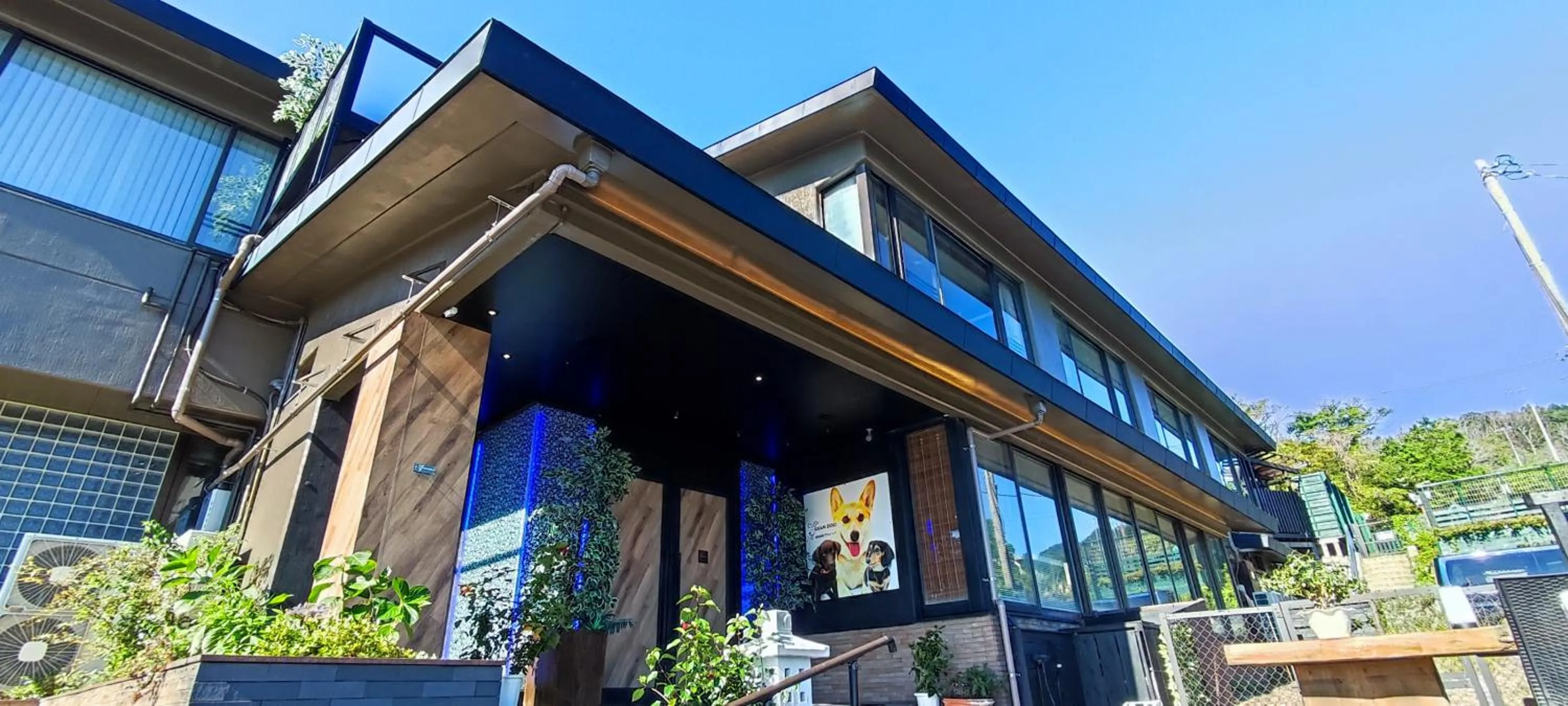 Hakone Gora Guam Dog