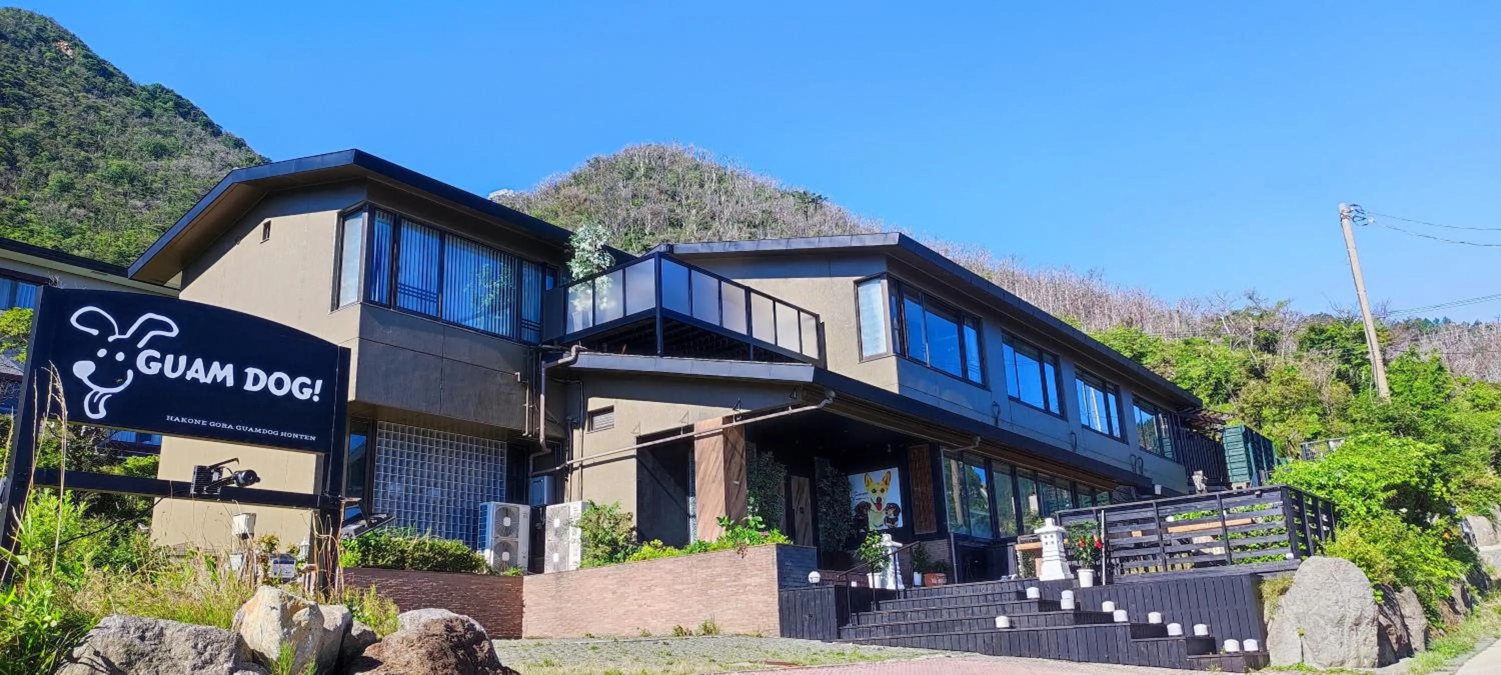 Hakone Gora Guam Dog