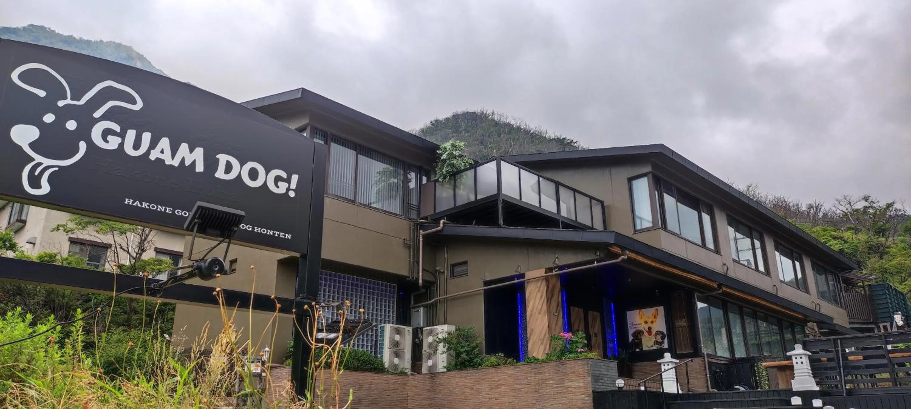 Hakone Gora Guam Dog