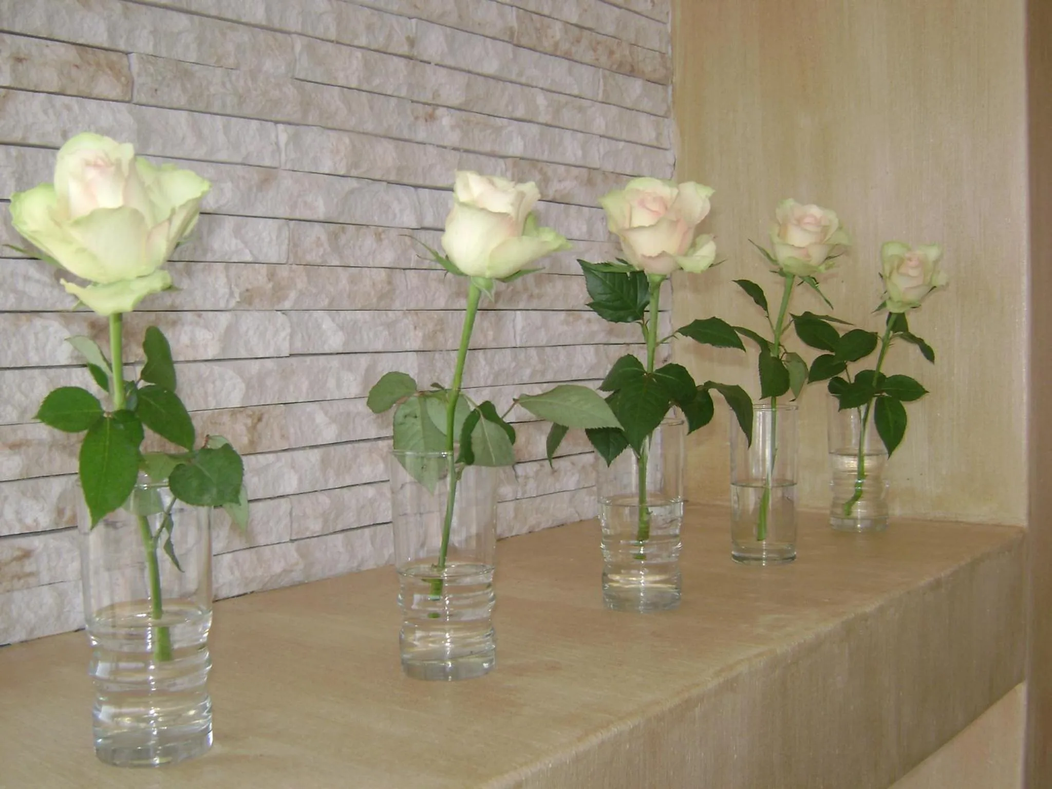 Communal lounge/ TV room in 138 Marine Beachfront Guesthouse