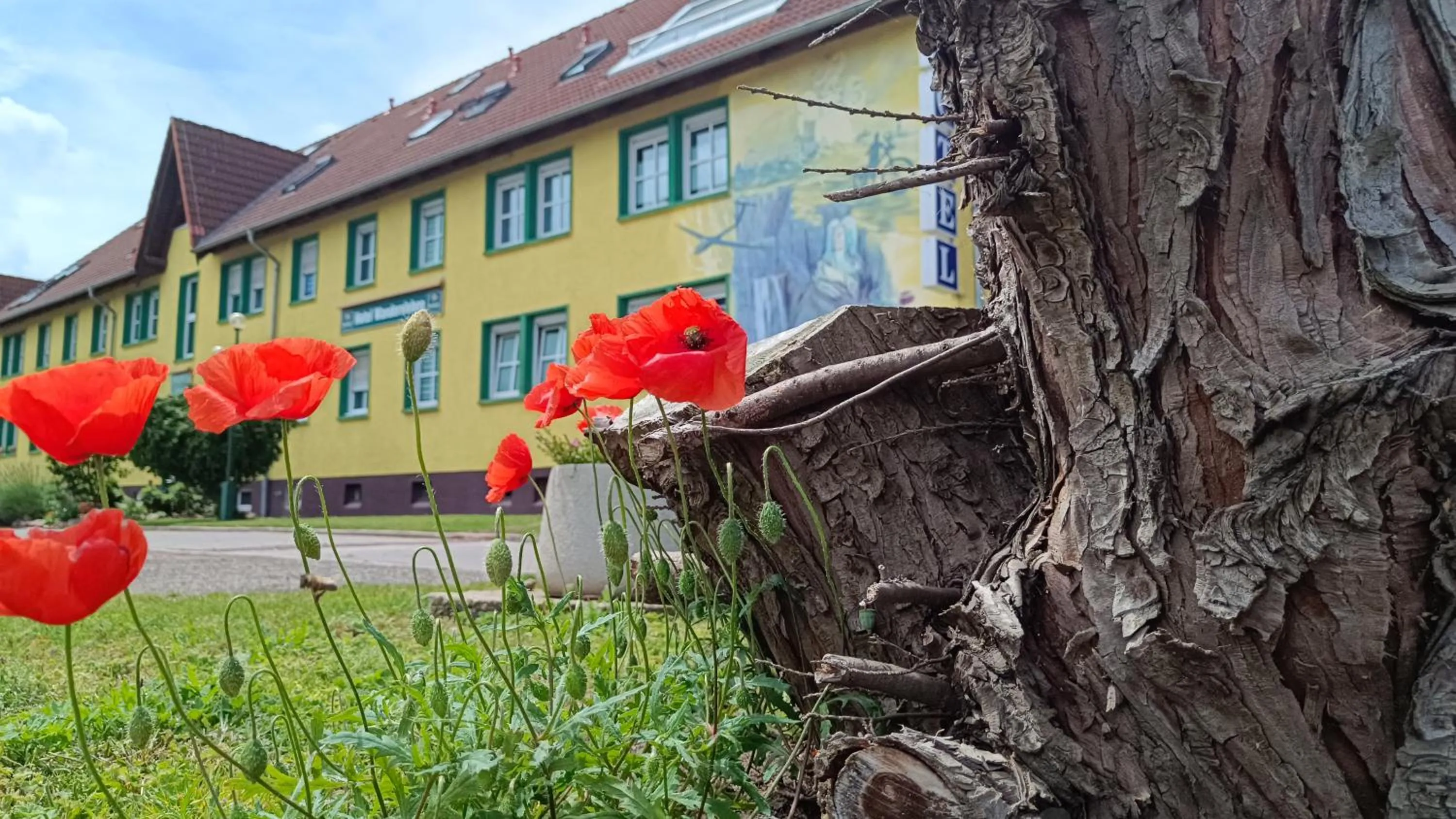 Property building in Hotel Wandersleben - Erfurt