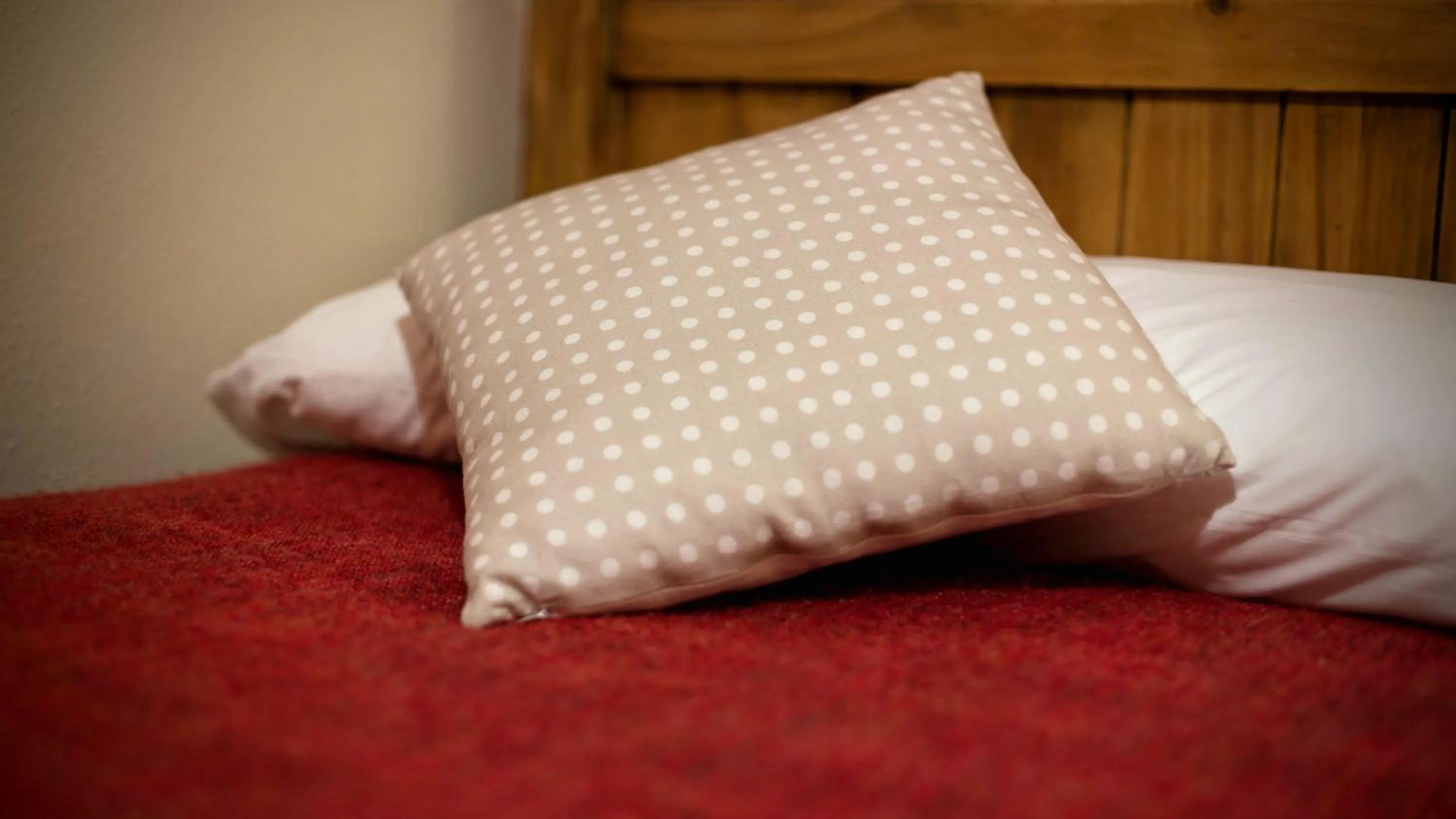Decorative detail, Bed in Hotel La Gerencia