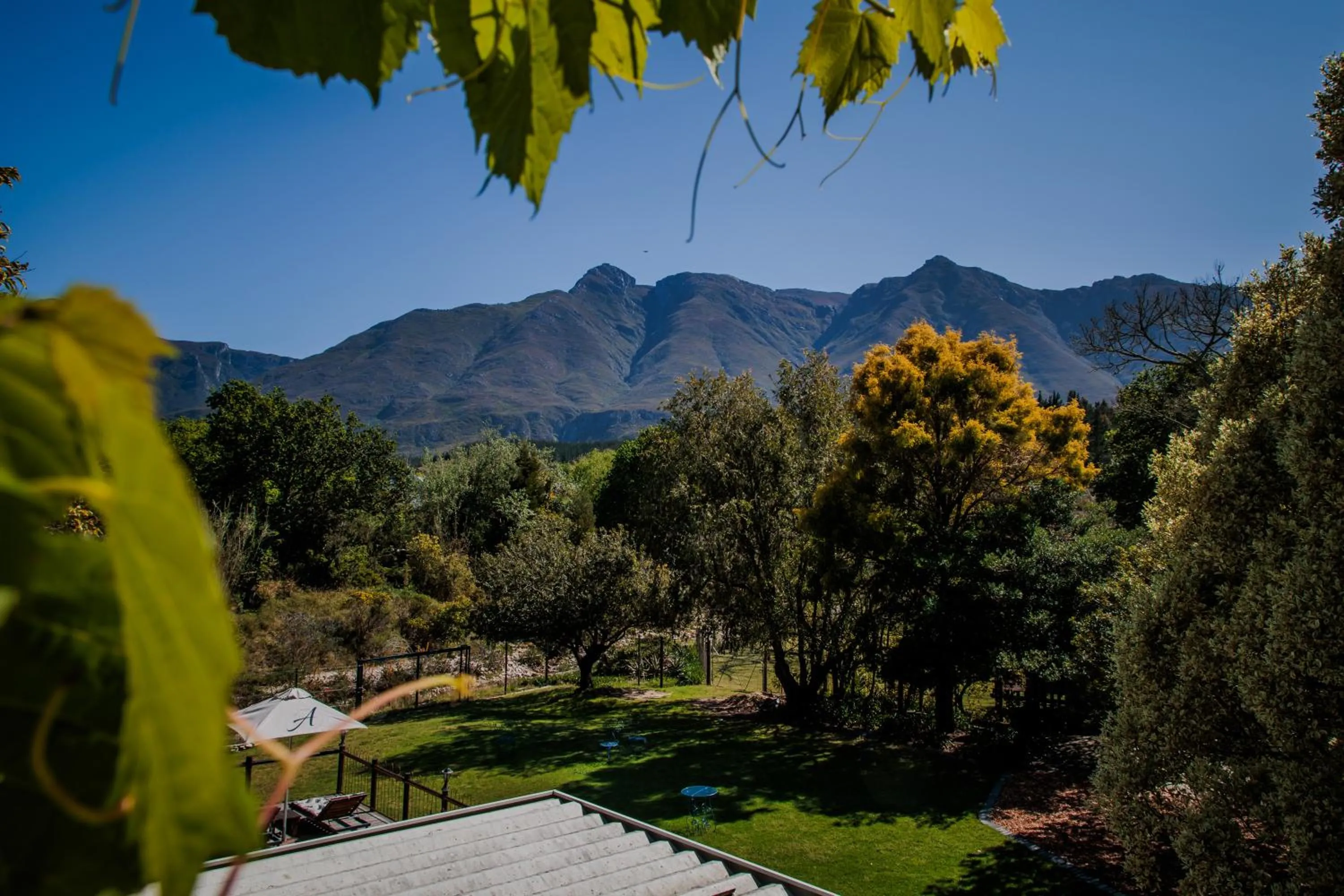 View (from property/room) in Aan de Oever Guesthouse