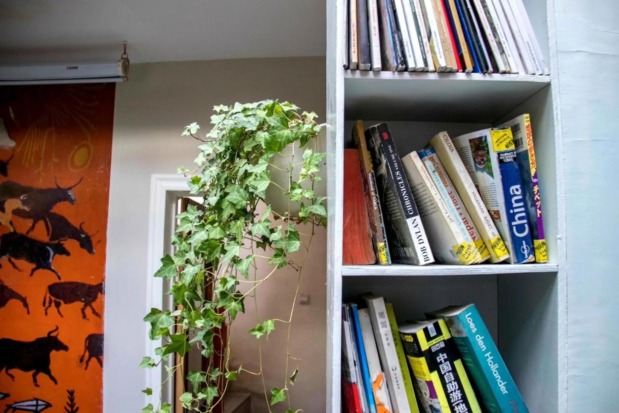 Library in Fengma Feiyang Hostel