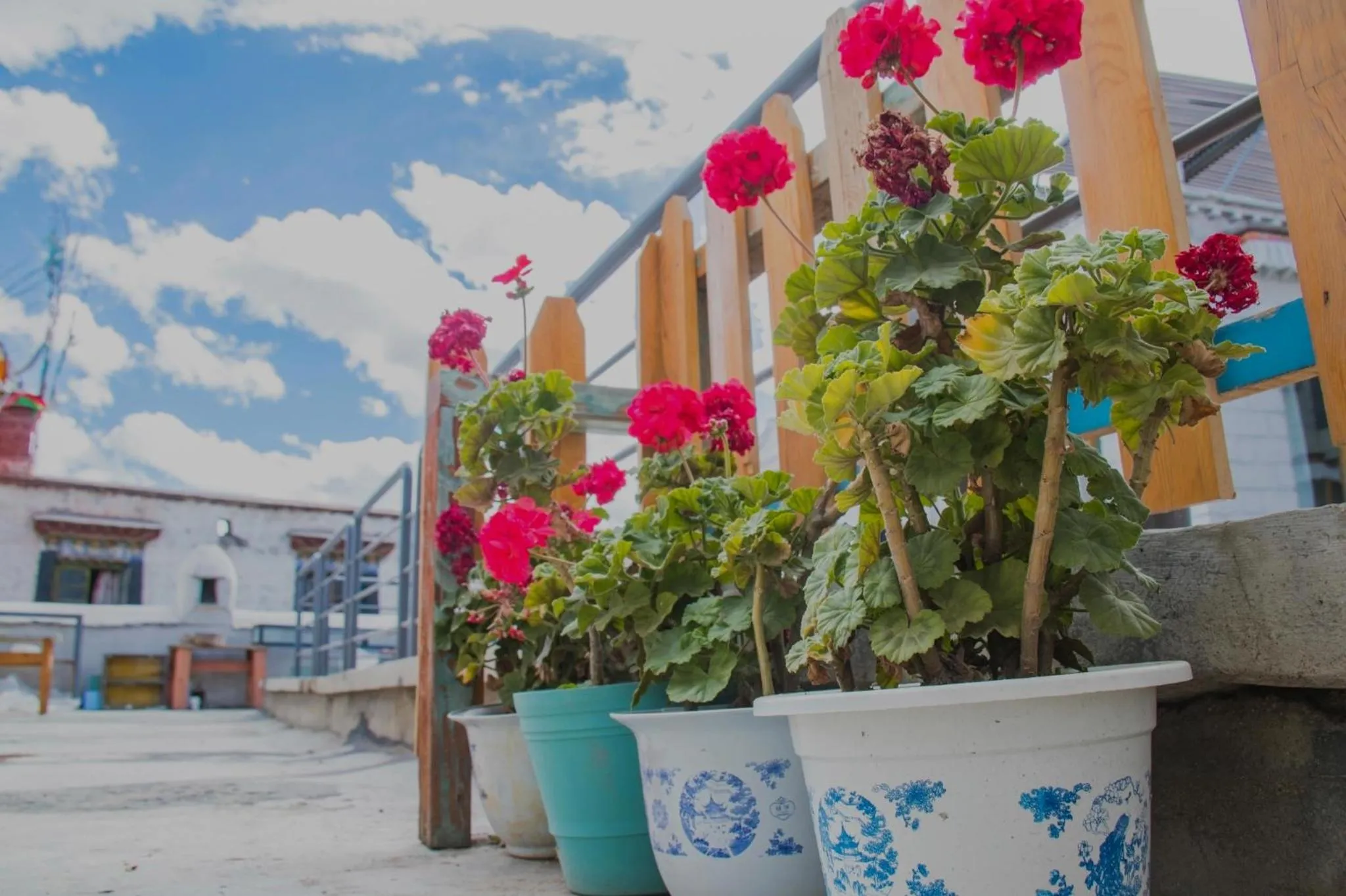Garden view in Fengma Feiyang Hostel