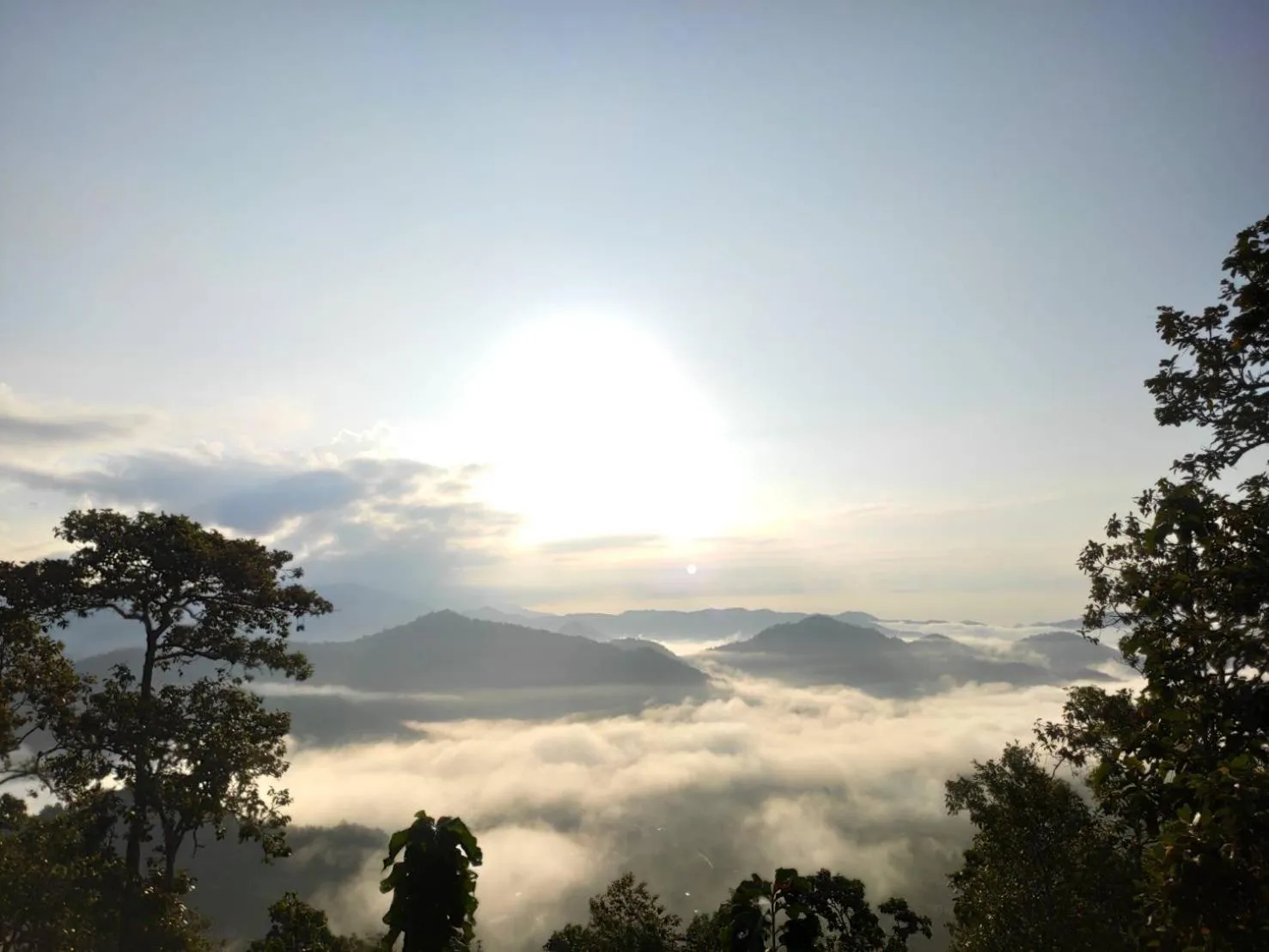 Living room in Forest Guesthouse