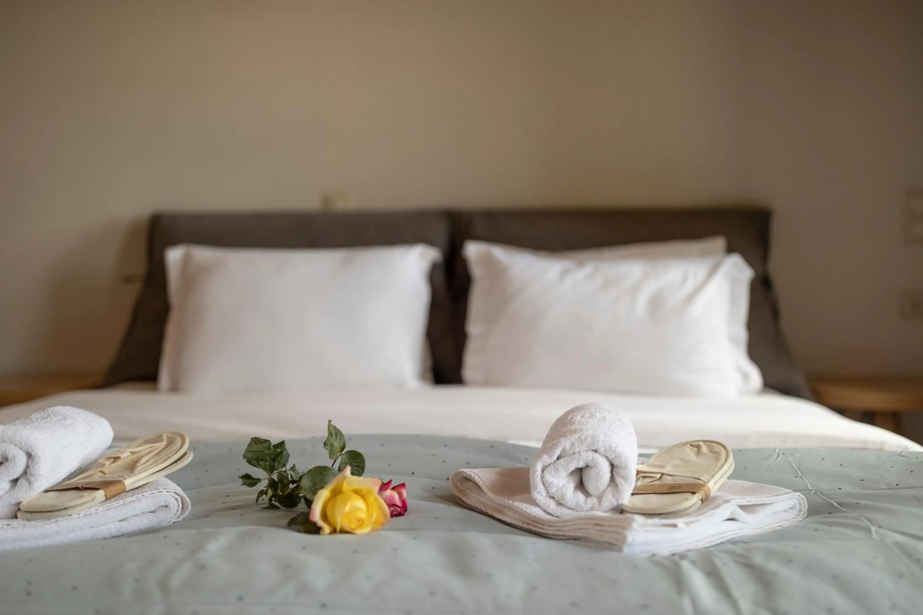 Bedroom, Bed in Foresta in Medias Mores