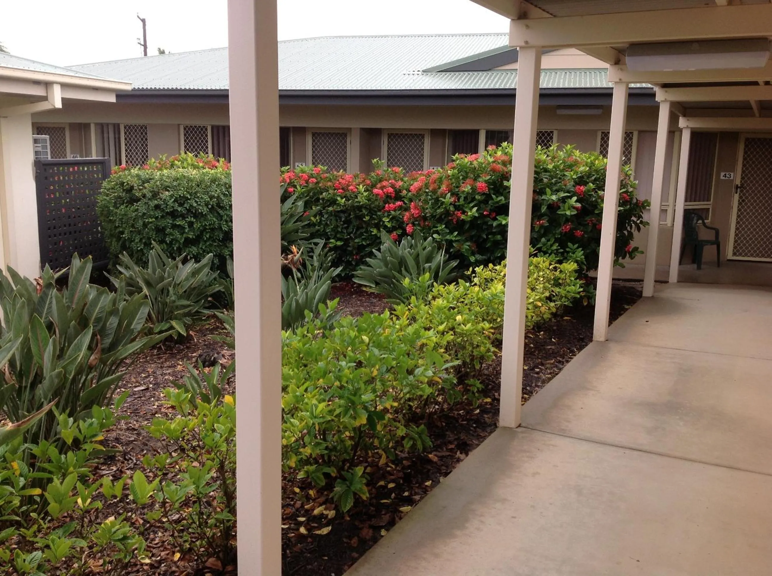 Garden view in Port Denison Motor Inn