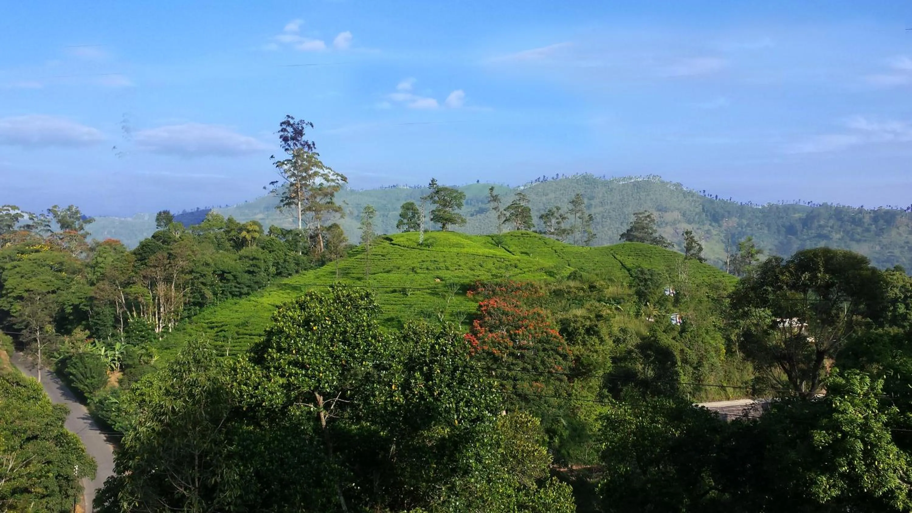 Nearby landmark in Lakshmis Hotel Ella