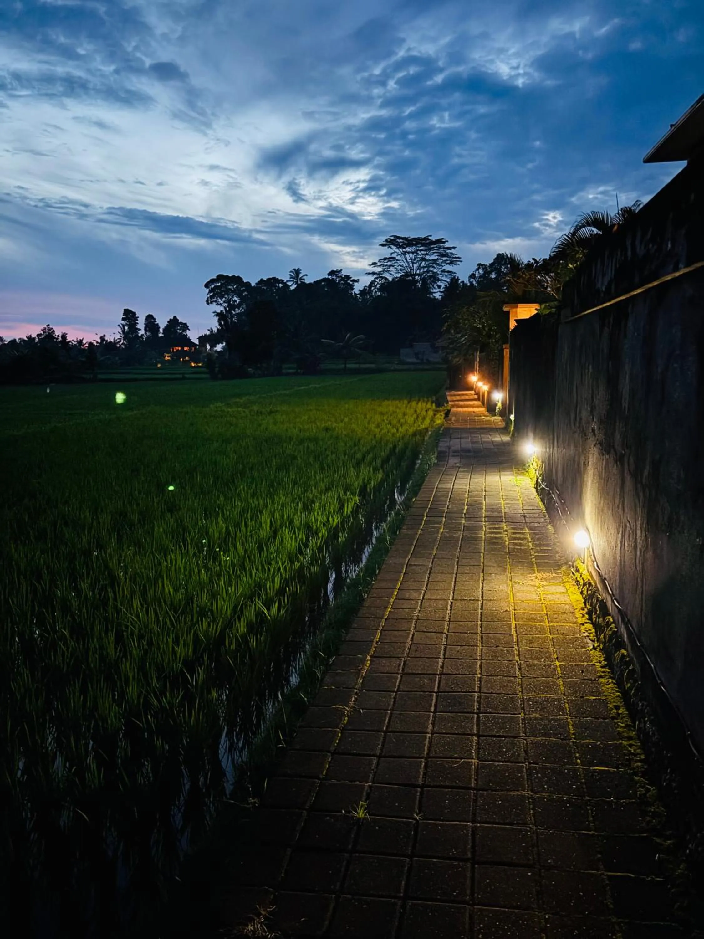 Night in Uma Padi Villa
