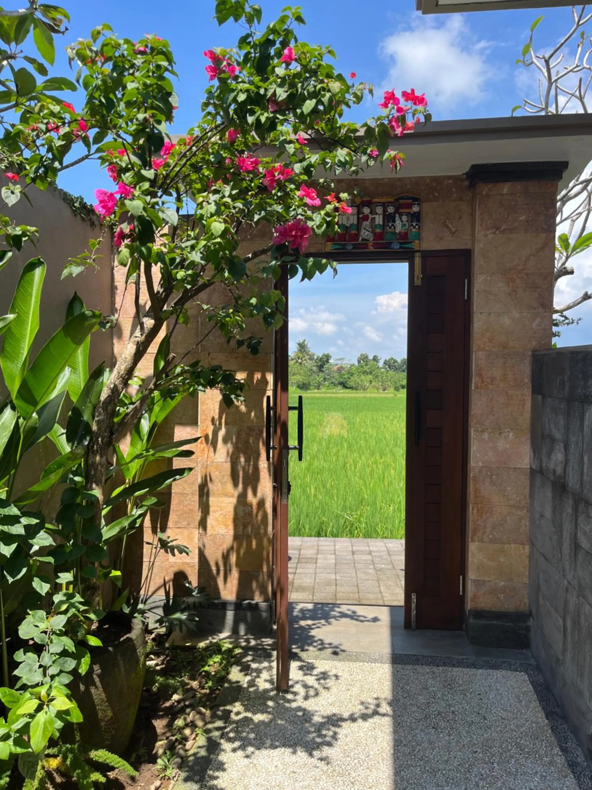 Property building in Uma Padi Villa