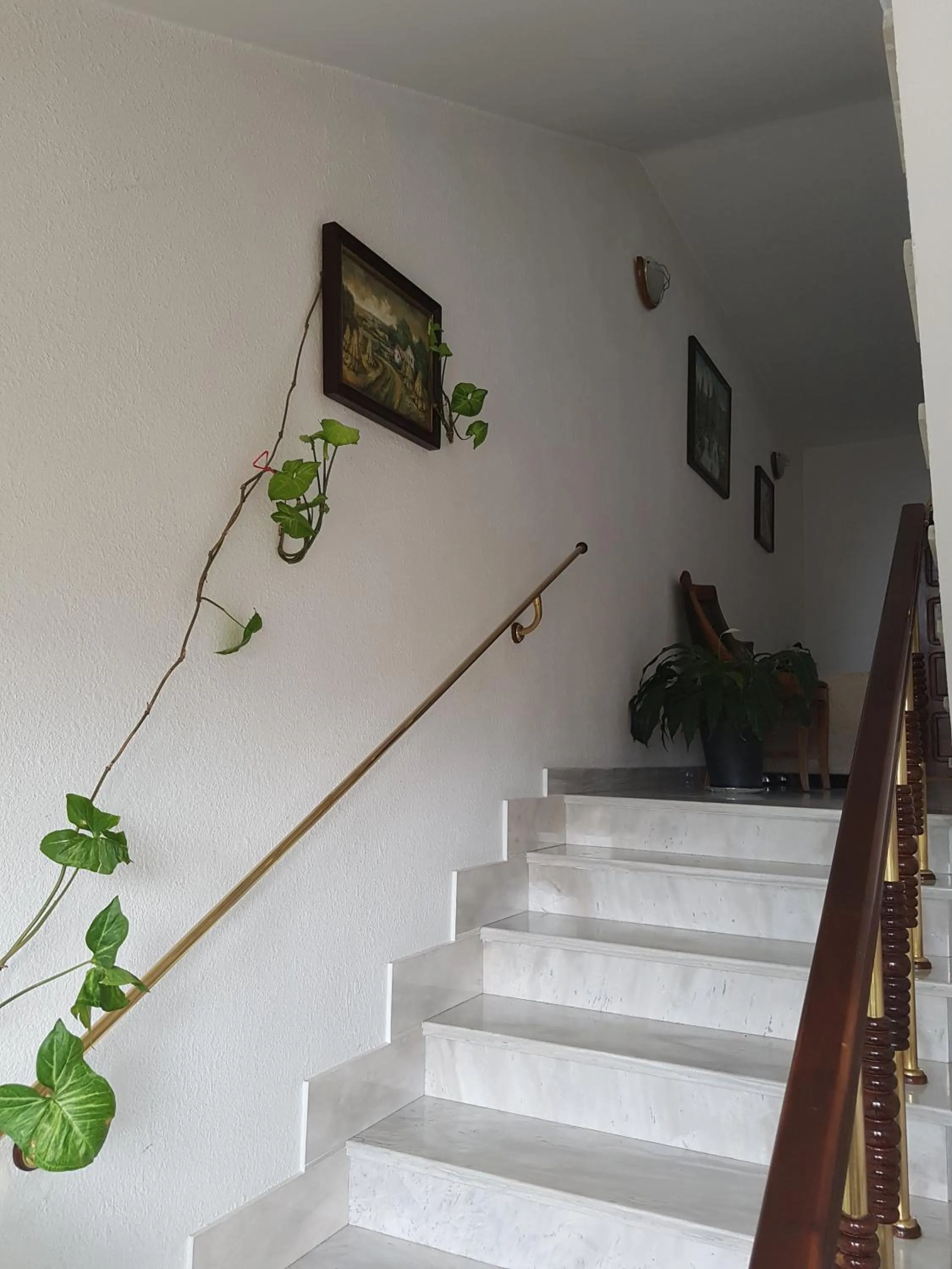 Floor plan in Hotel Mishel