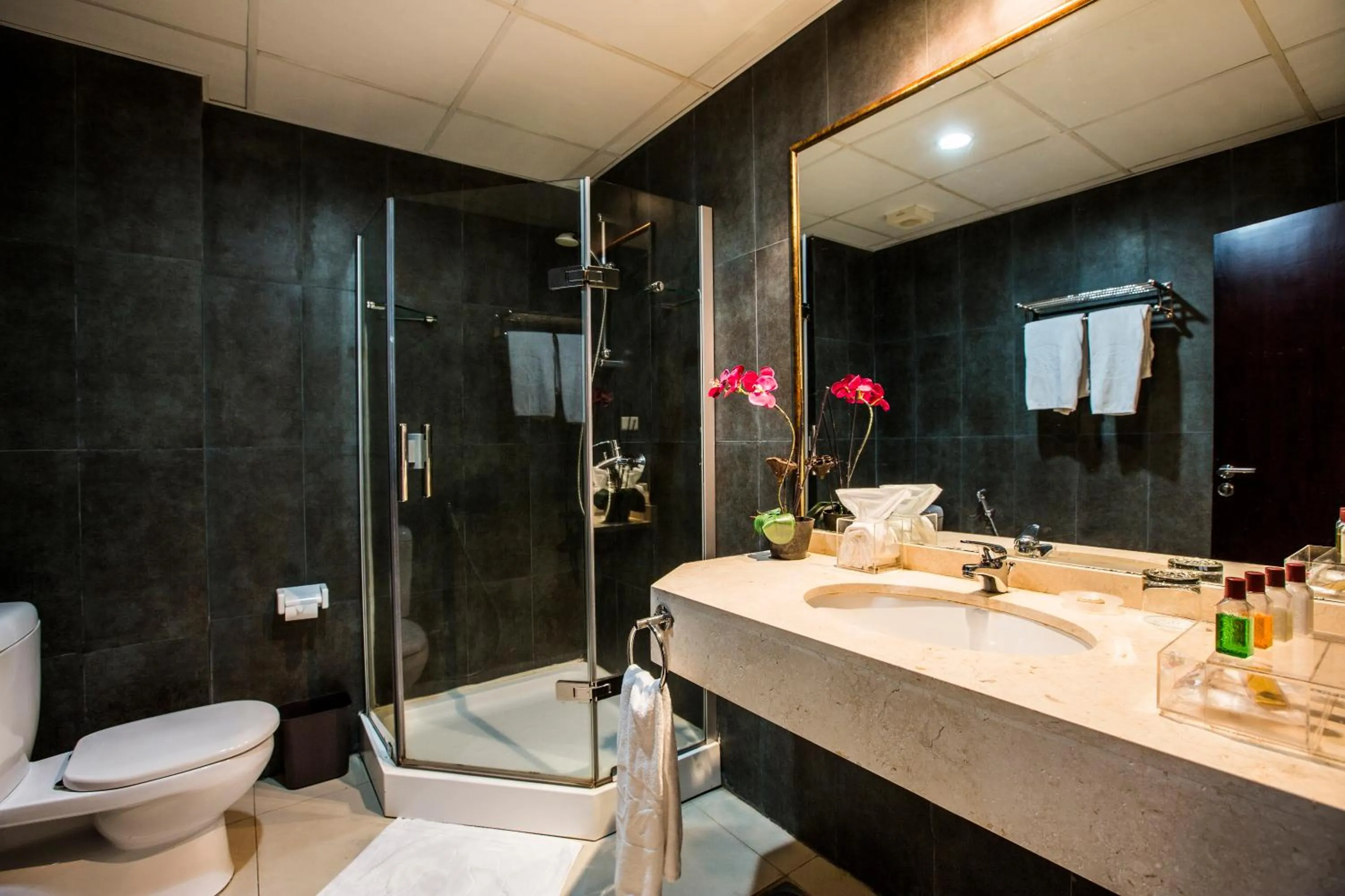 Shower in Mikhael's Hotel