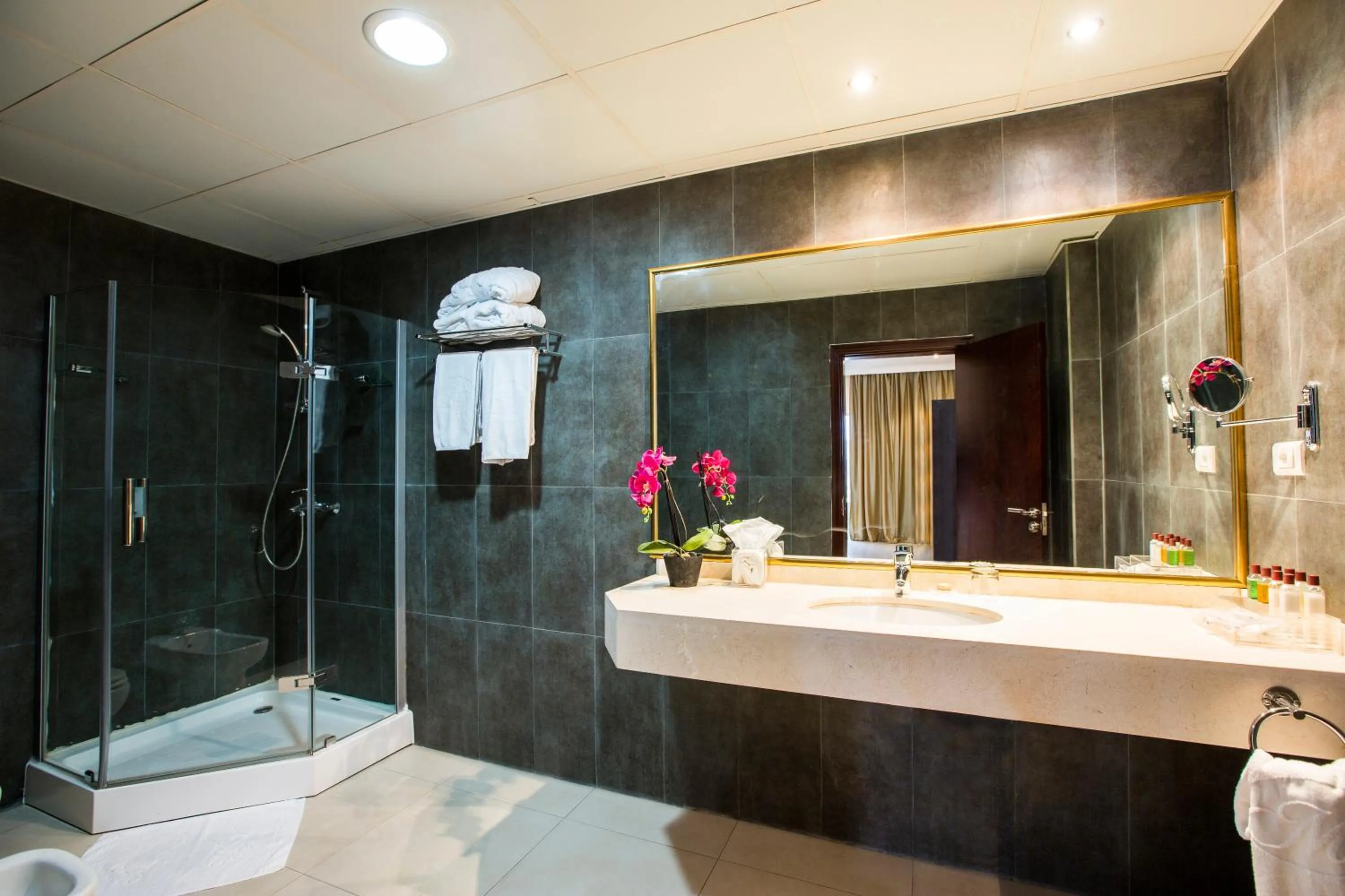 Shower in Mikhael's Hotel