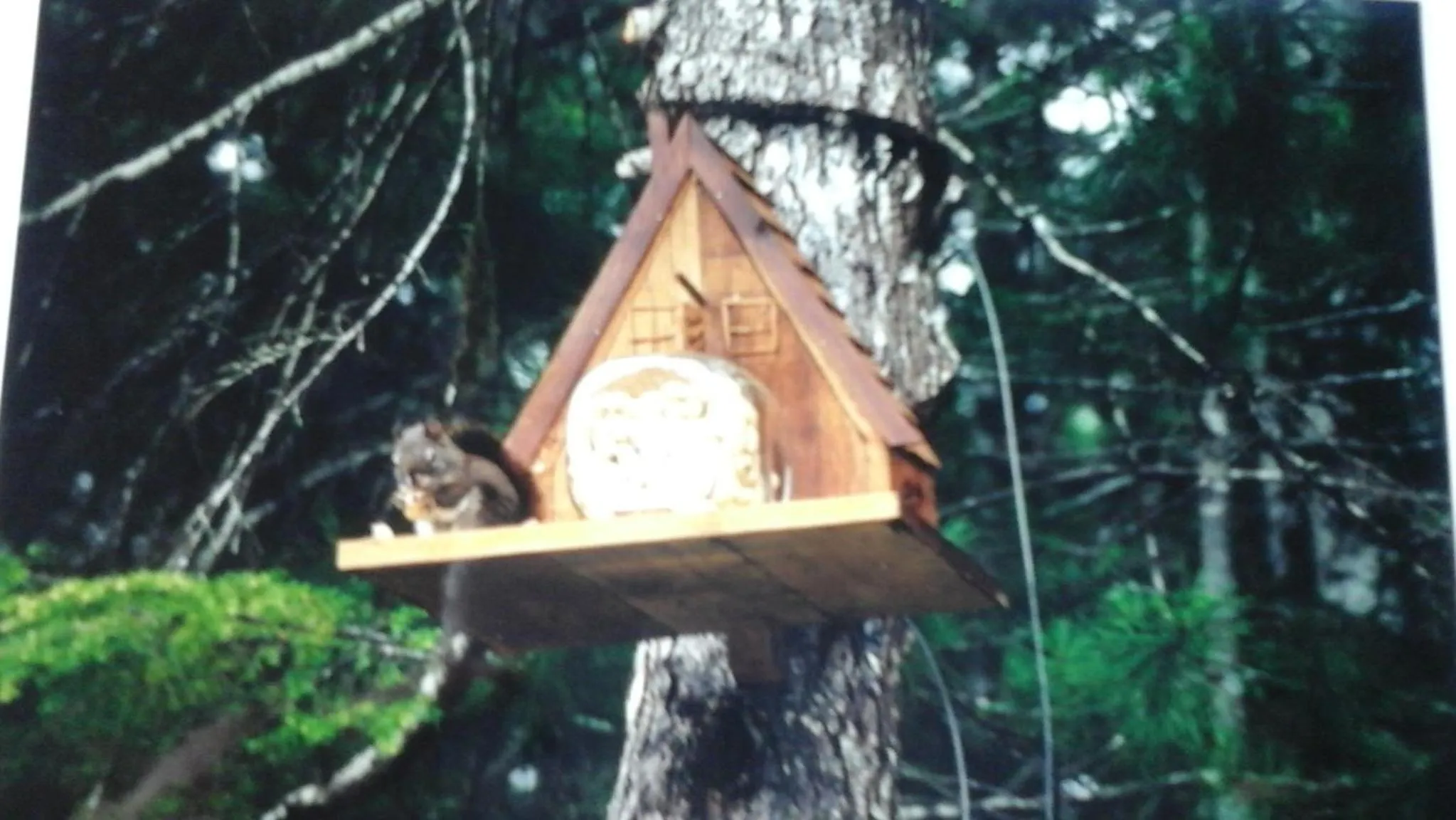 Animals in Beaver Hut Bed And Breakfast