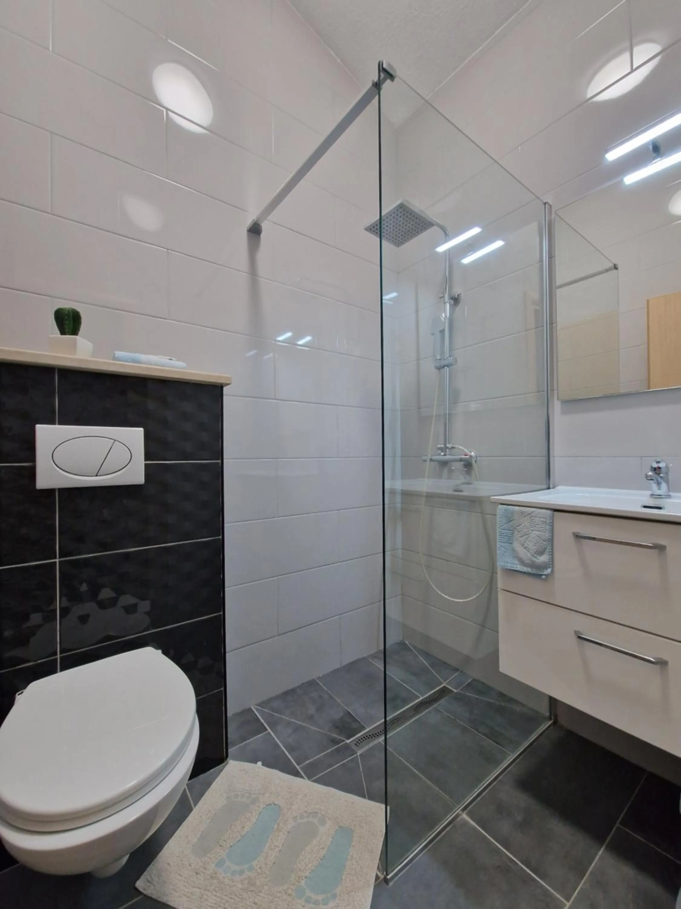 Apartments Silva with a view of sea