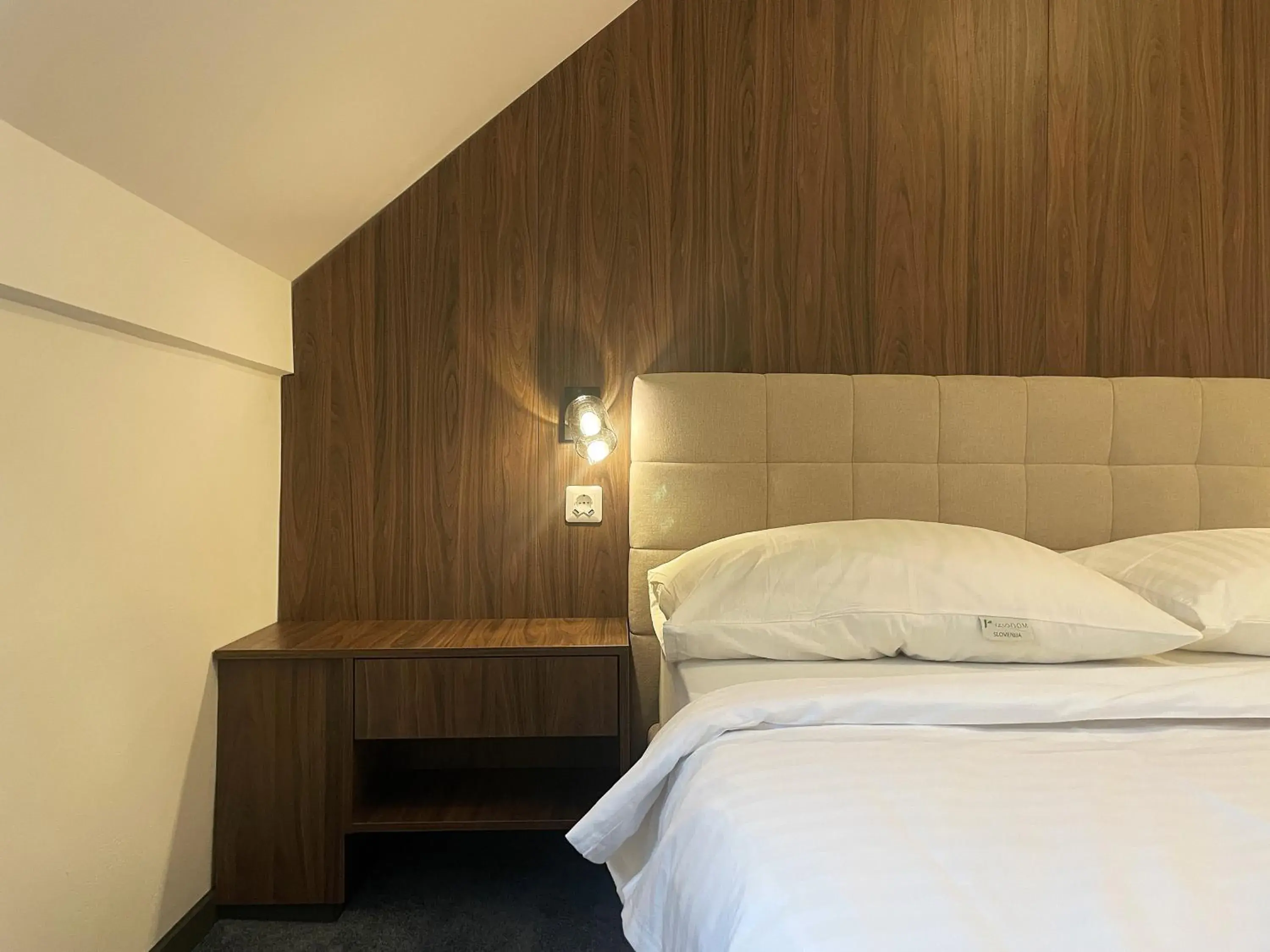 Small Double Room - single occupancy in Motel Reich Small Double Room - single occupancy in Motel Reich