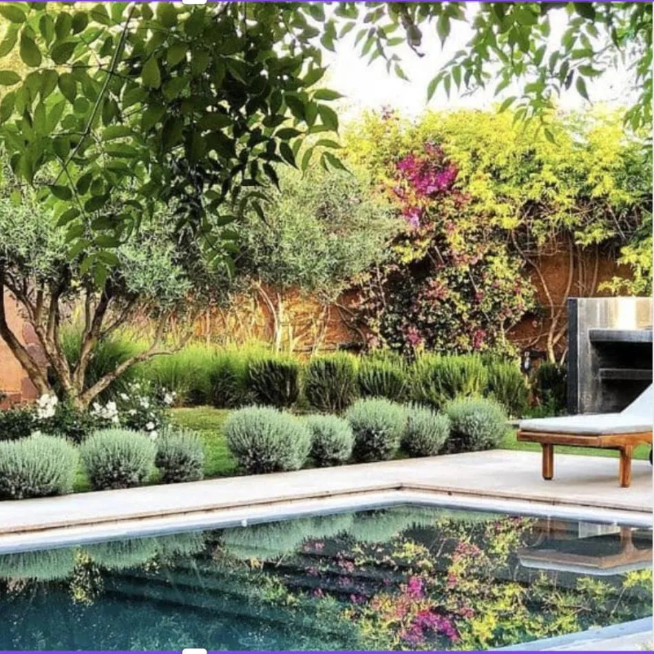 Solarium in The Source Hotel Music & Spa