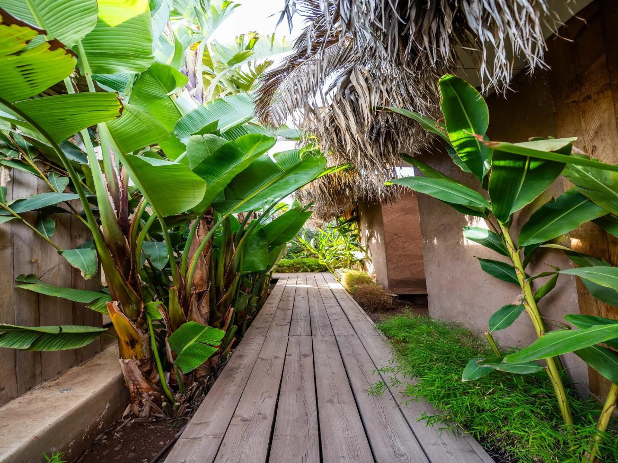 Spring in The Source Hotel Music & Spa