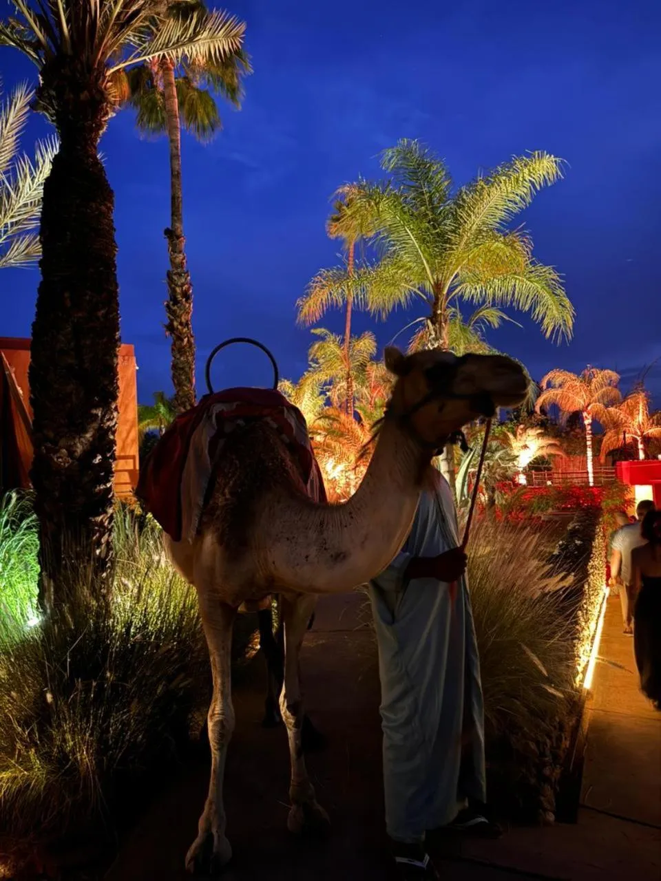 Decorative detail in The Source Hotel Music & Spa