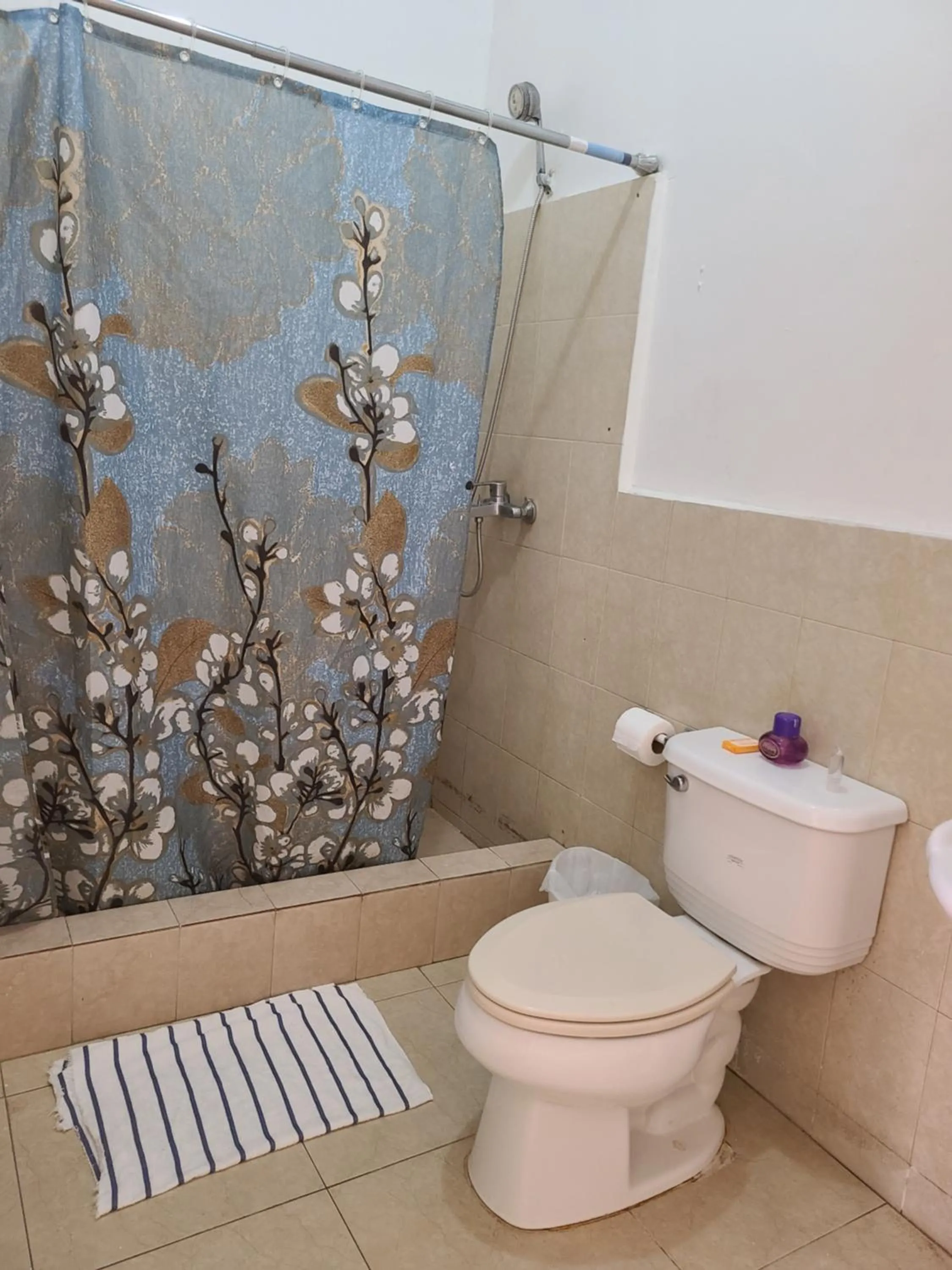 Toilet in Habitation Des Lauriers