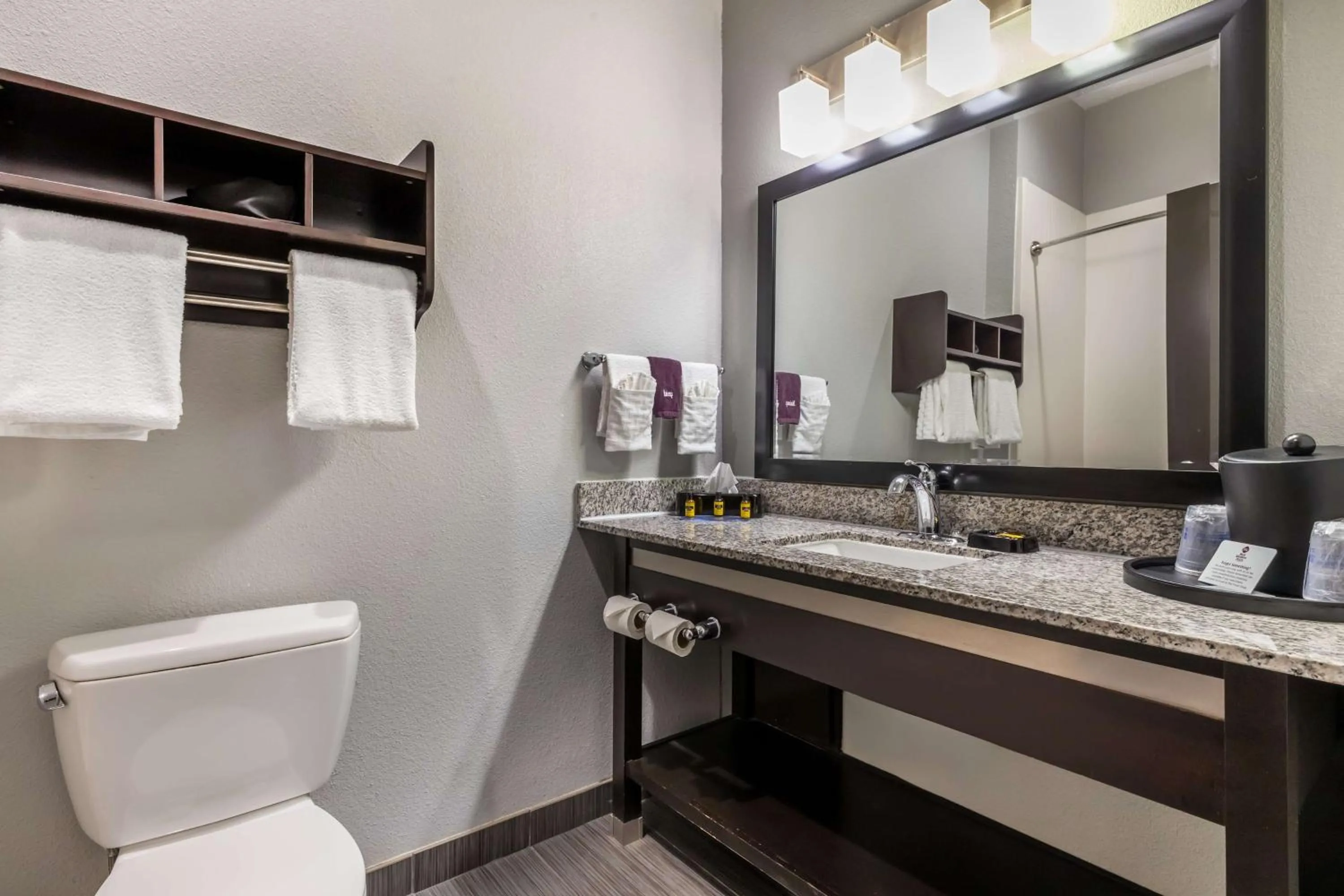 Bathroom in Best Western Plus Coweta's 1st Hotel