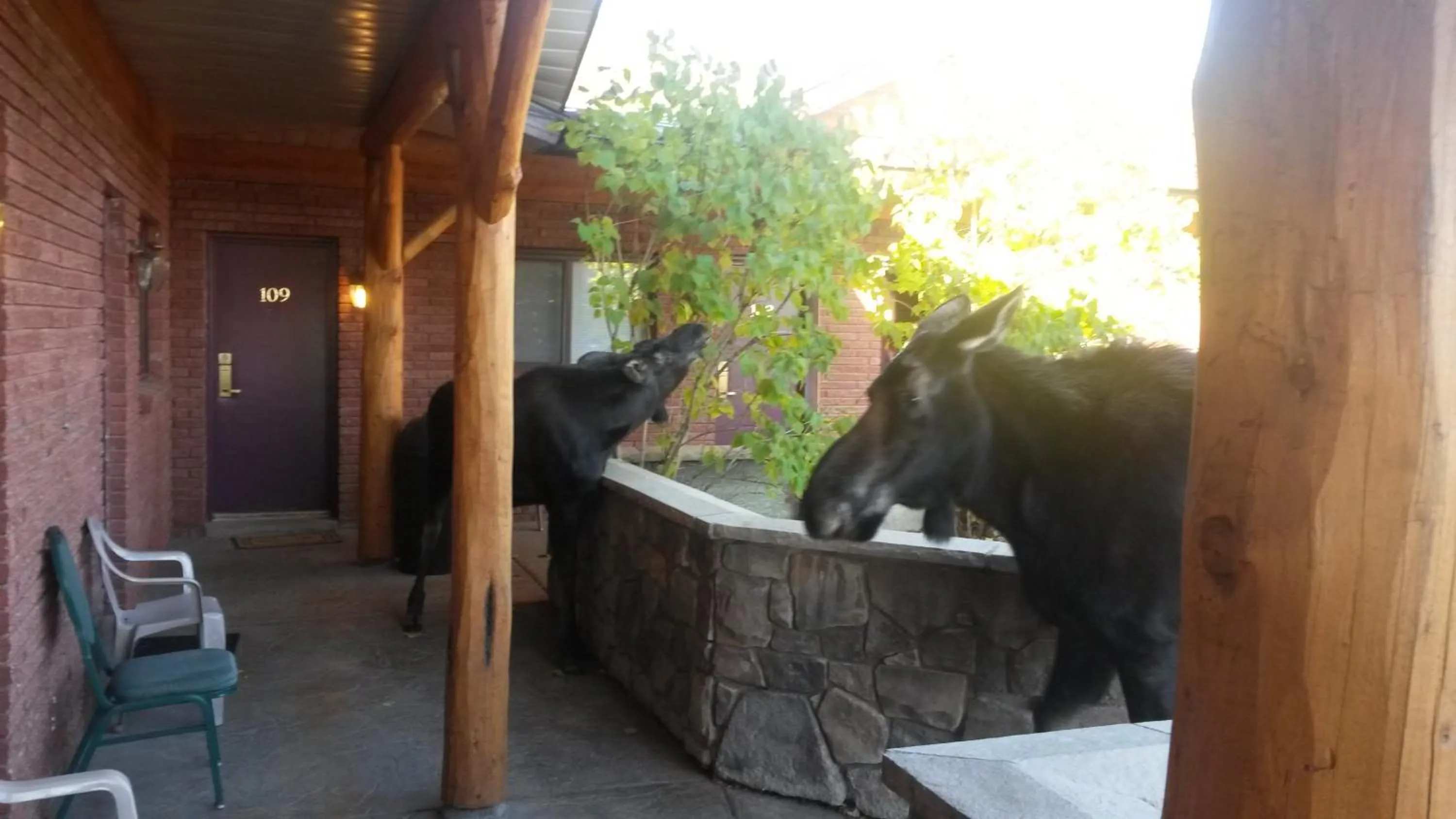 Patio in Sundance Motel