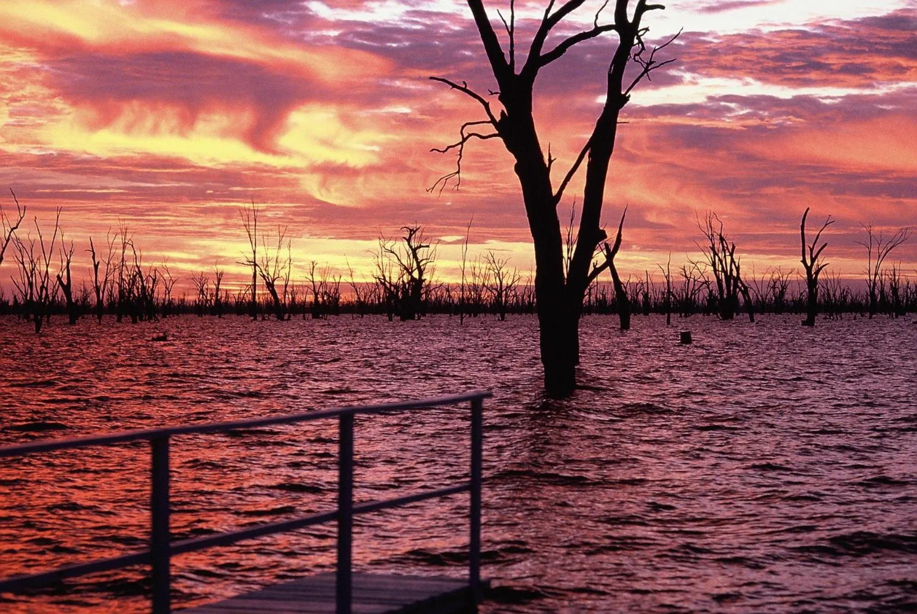 Natural landscape in The Yarrawonga Hotel