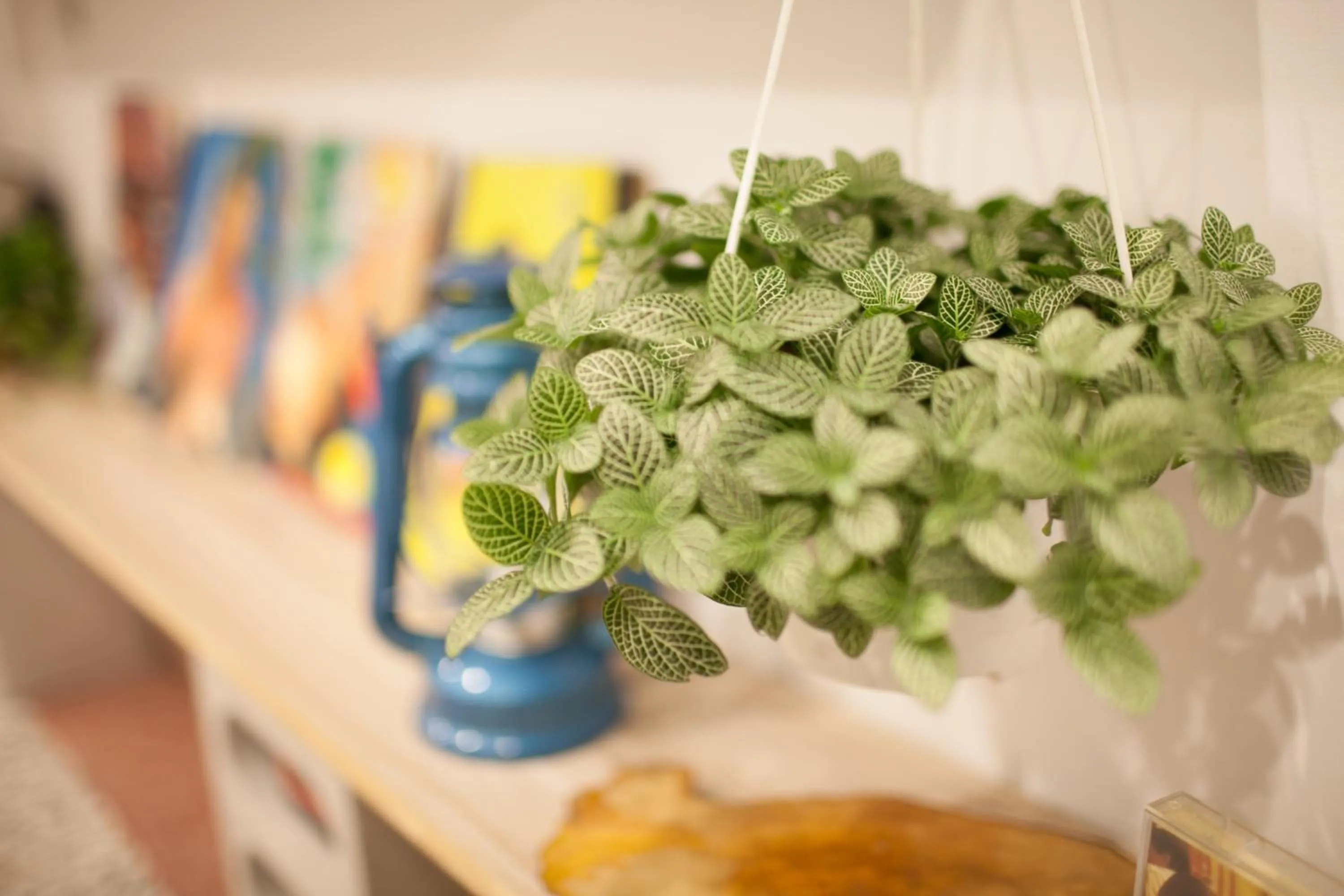 Communal lounge/ TV room in Captain Not At Home