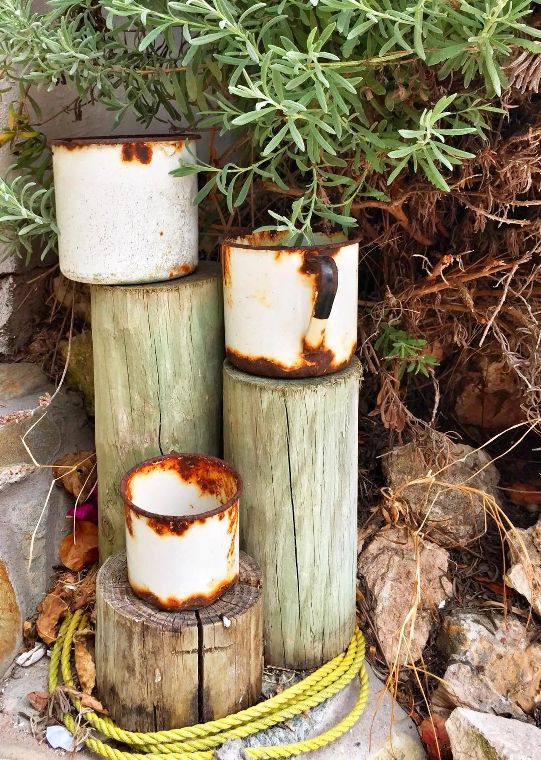 Garden in Farr Out Guest House