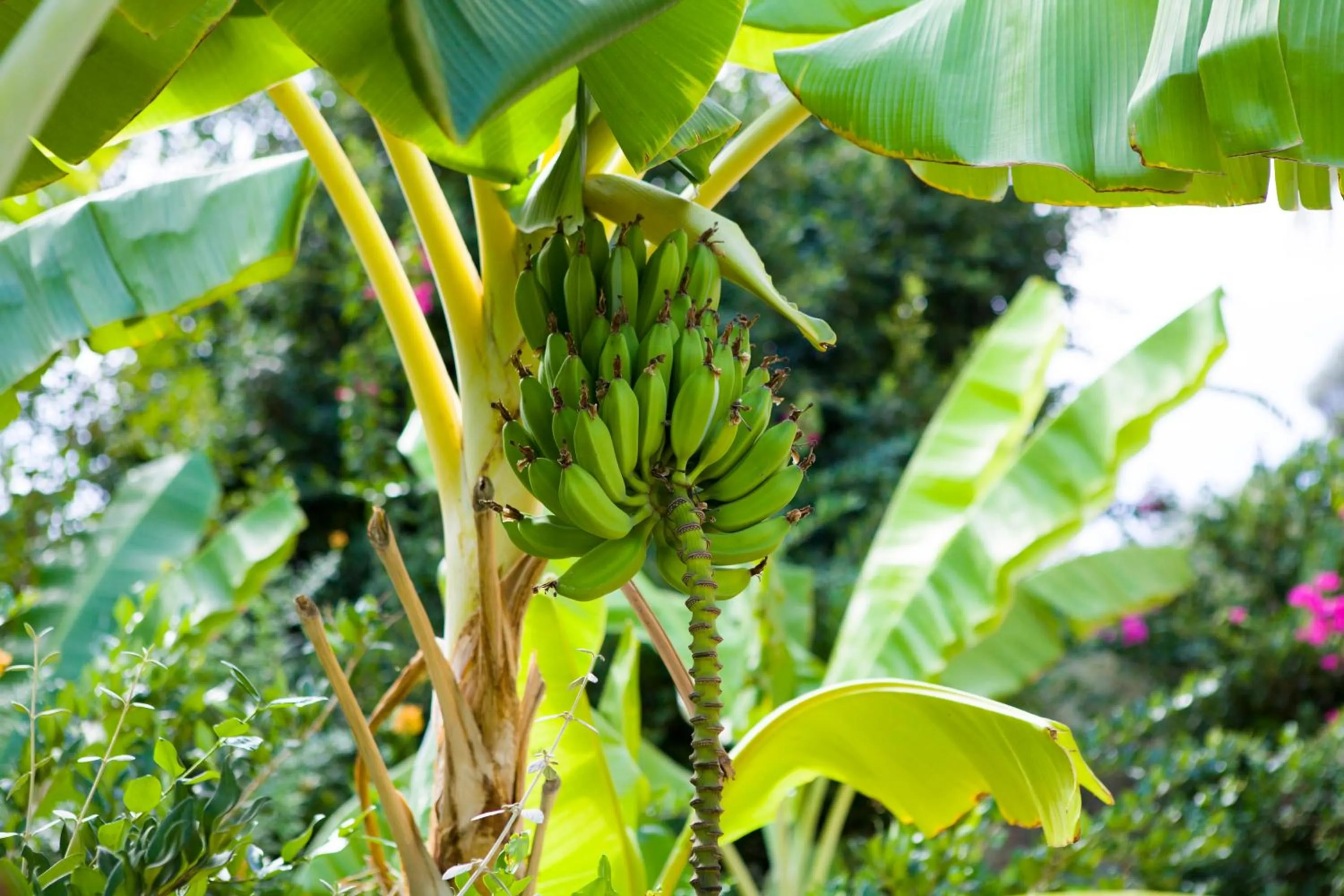 Natural landscape in Spektr Boutique Hotel Yalikavak