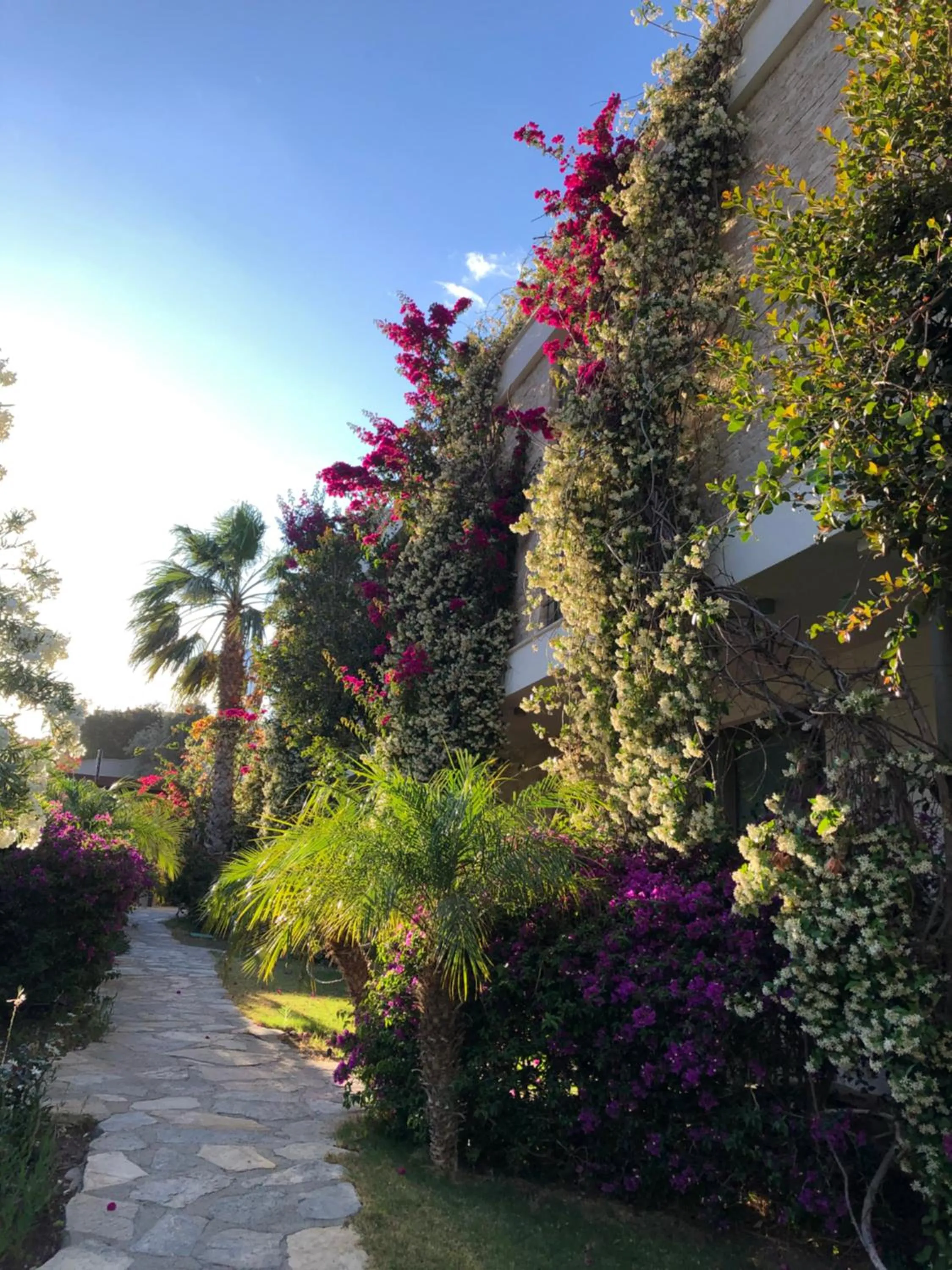 Garden in Spektr Boutique Hotel Yalikavak