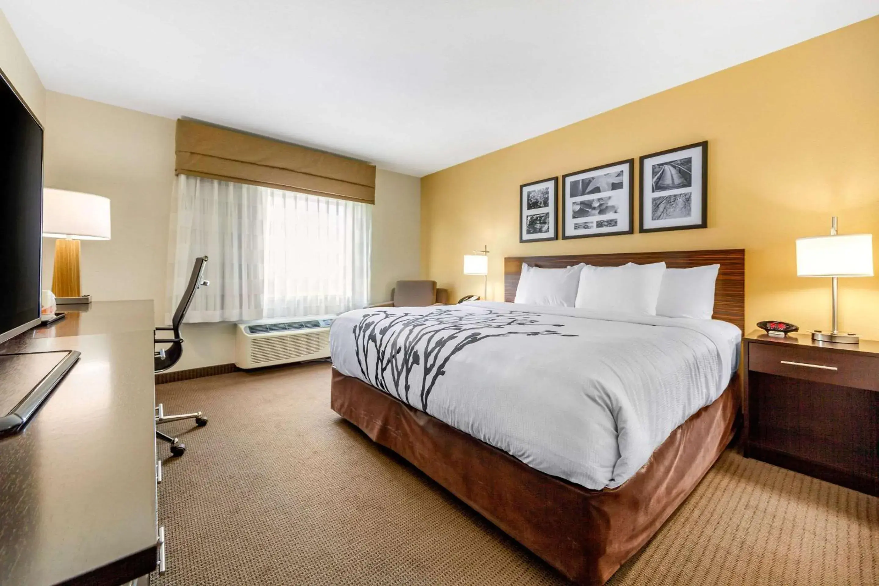 Standard King Room - Non-Smoking in Sleep Inn & Suites Lincoln University Area Standard King Room - Non-Smoking in Sleep Inn & Suites Lincoln University Area