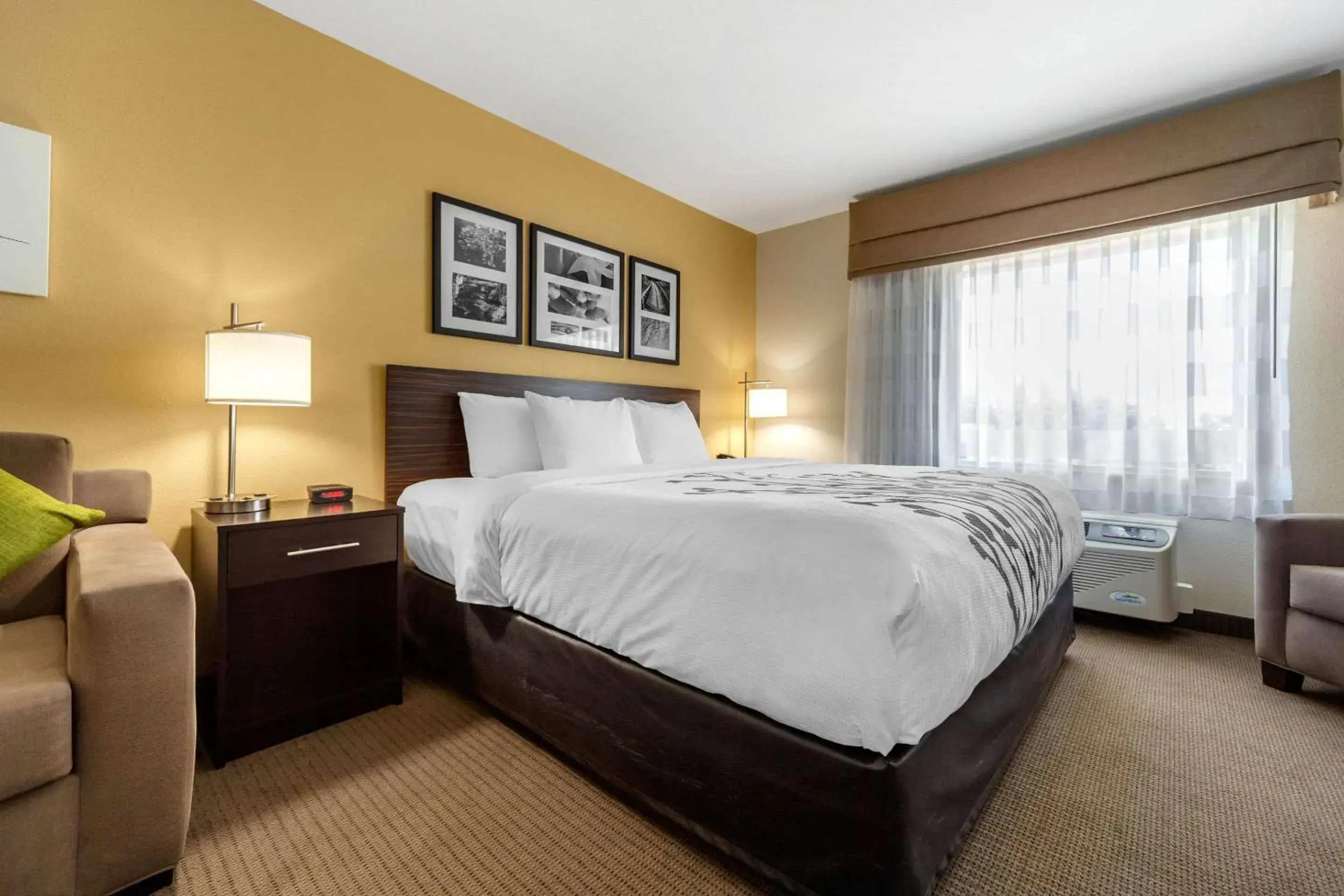 King Suite with Sofa Bed - Non-Smoking in Sleep Inn & Suites Lincoln University Area King Suite with Sofa Bed - Non-Smoking in Sleep Inn & Suites Lincoln University Area