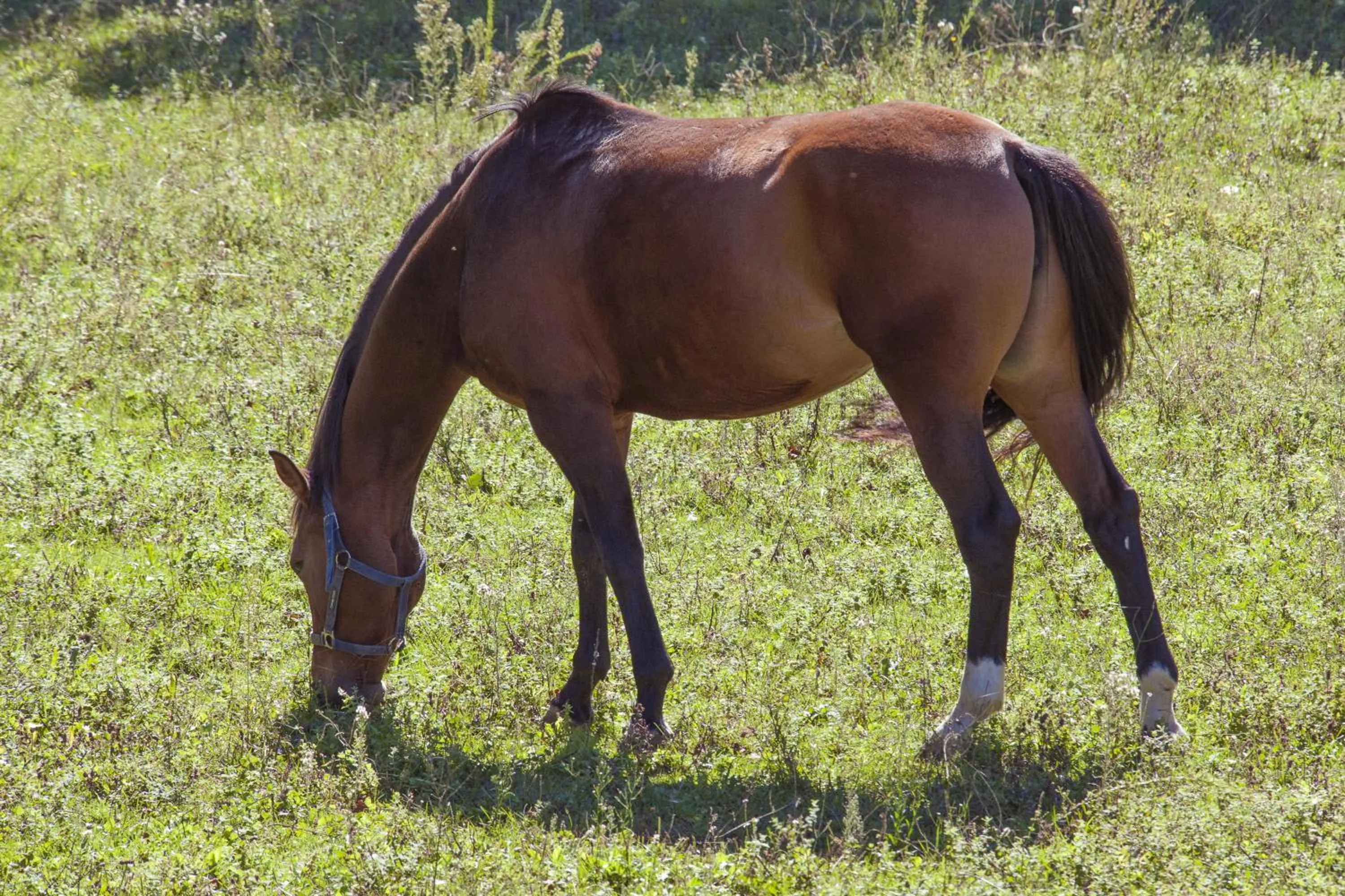 Off site in Hotel Parque Serra da Lousã