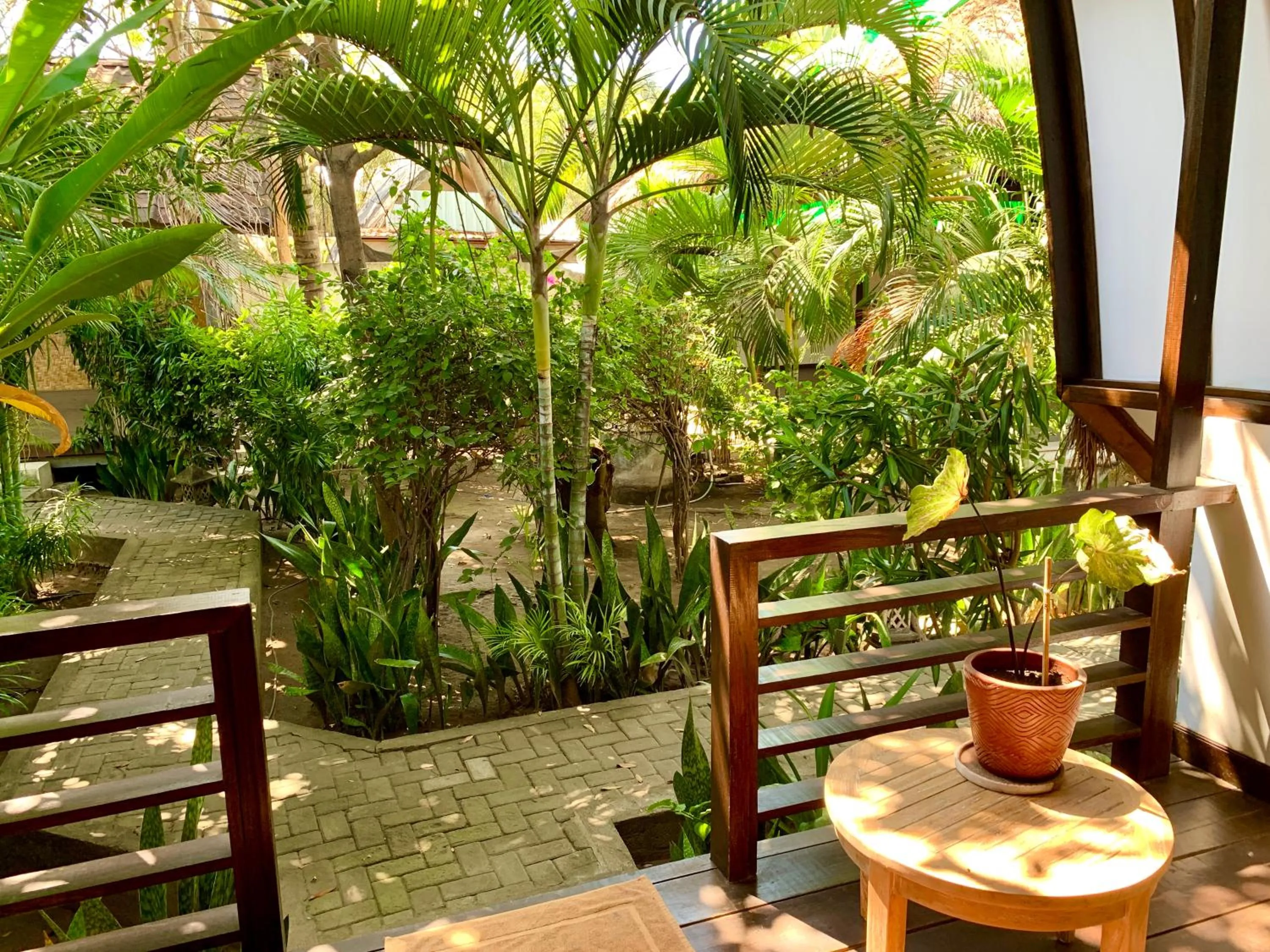 Garden in The Yoga Garden