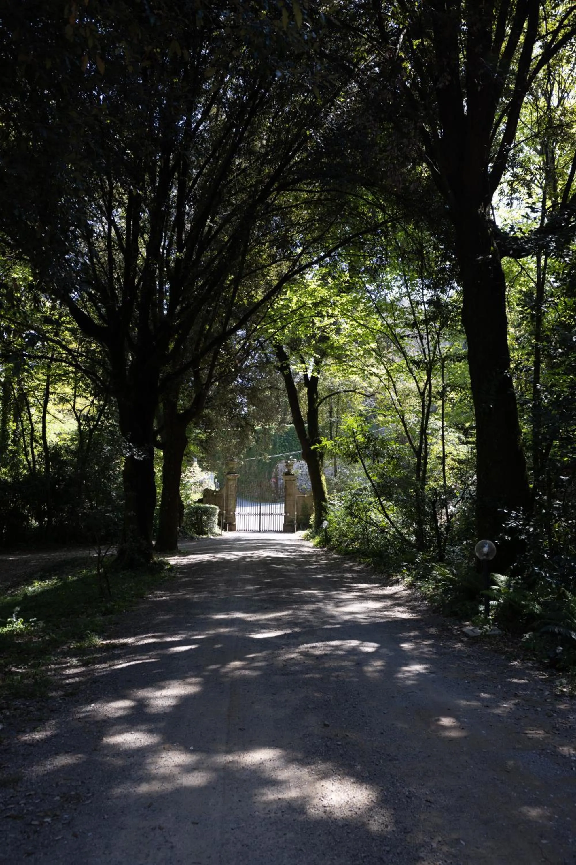 Natural landscape in Il Casale Di Villa Rossi