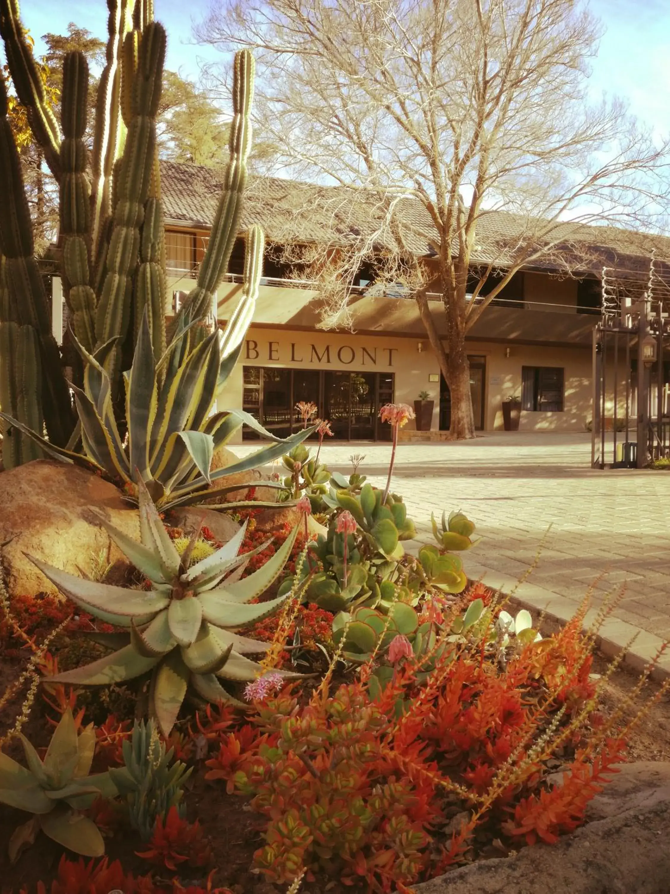 Belmont Guesthouse Belmont Guesthouse