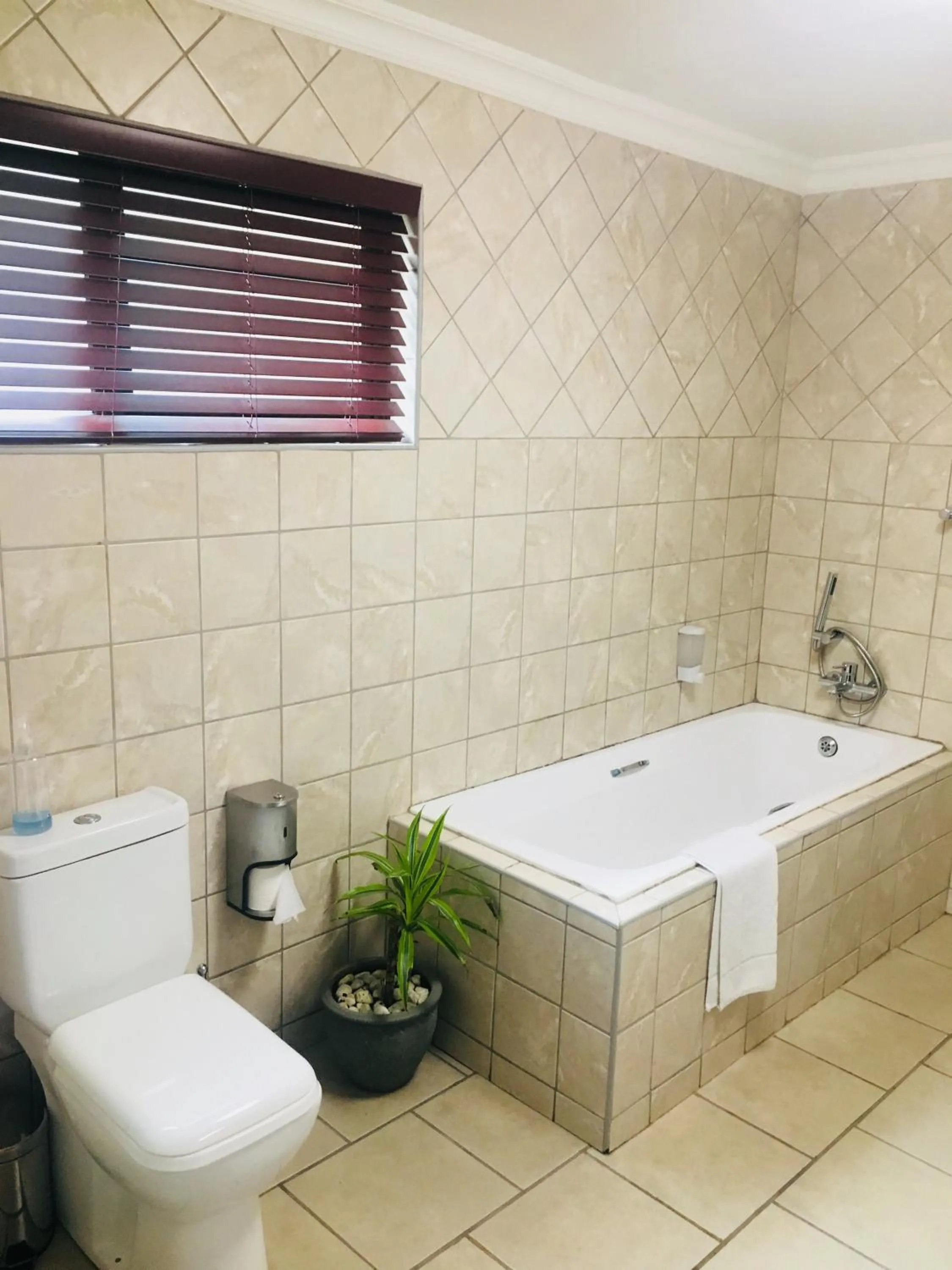 Bathroom in Belmont Guesthouse