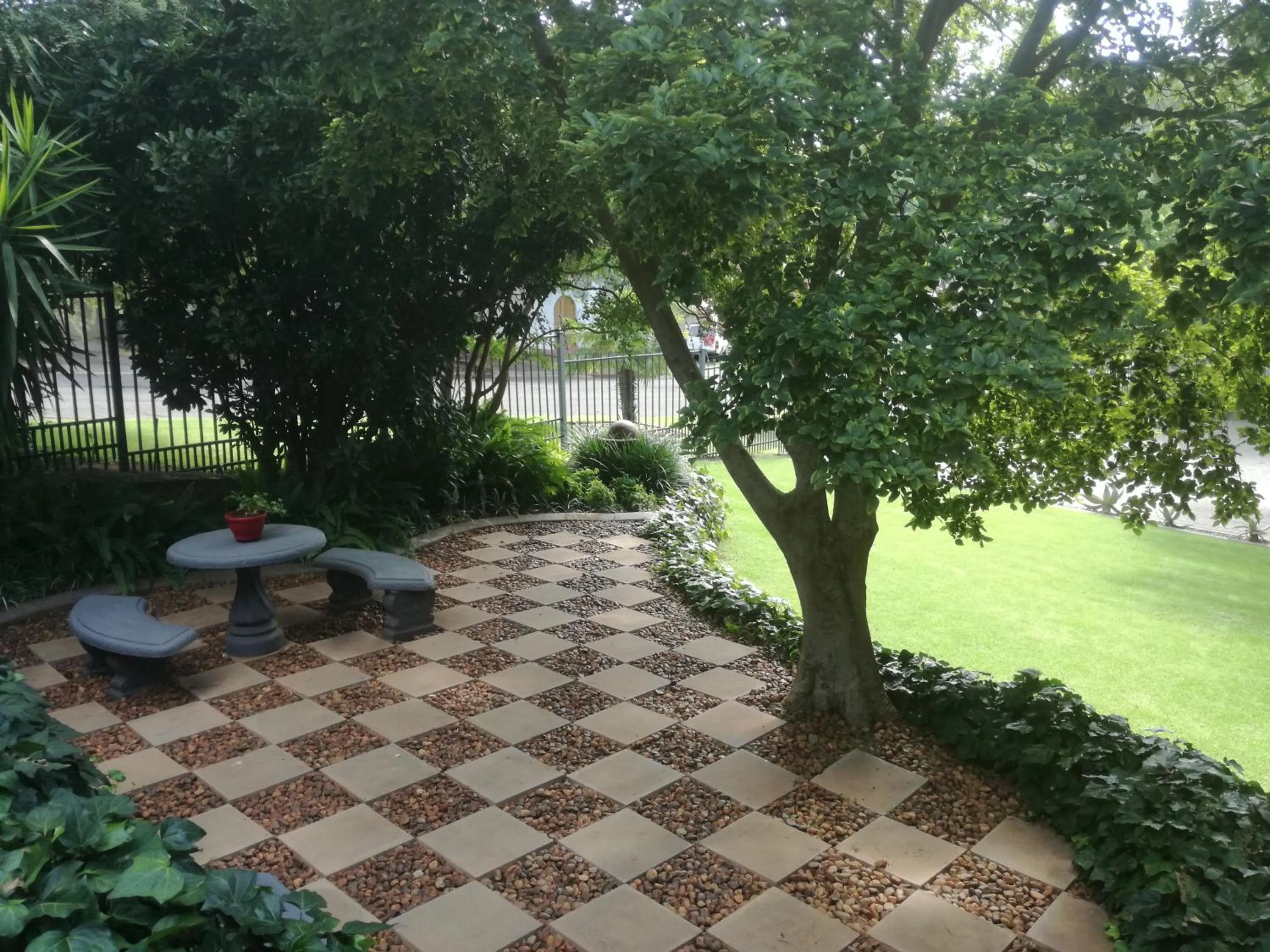 Garden in Belmont Guesthouse