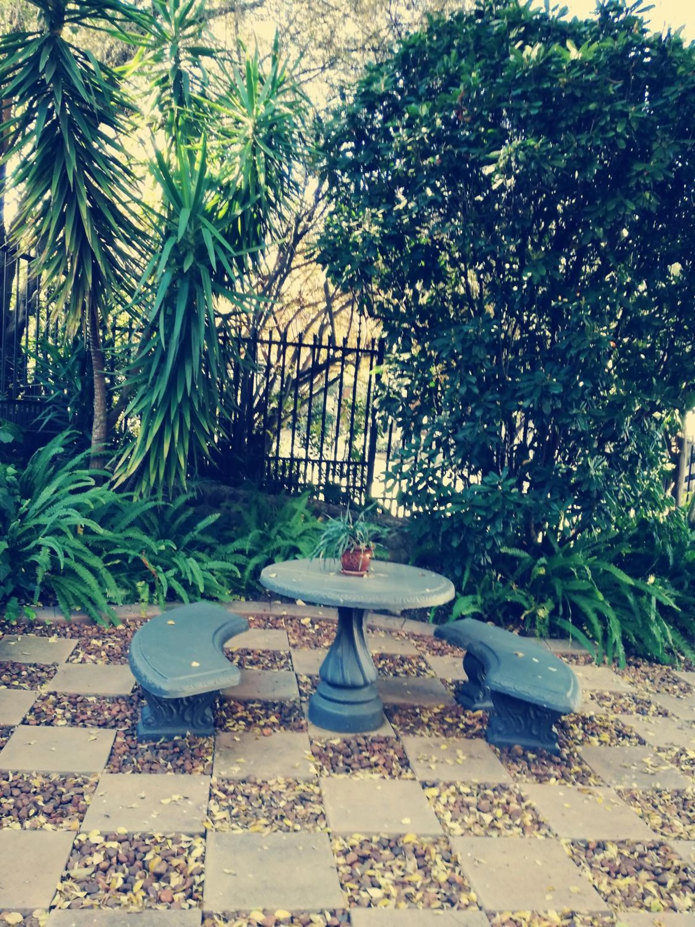 Garden in Belmont Guesthouse