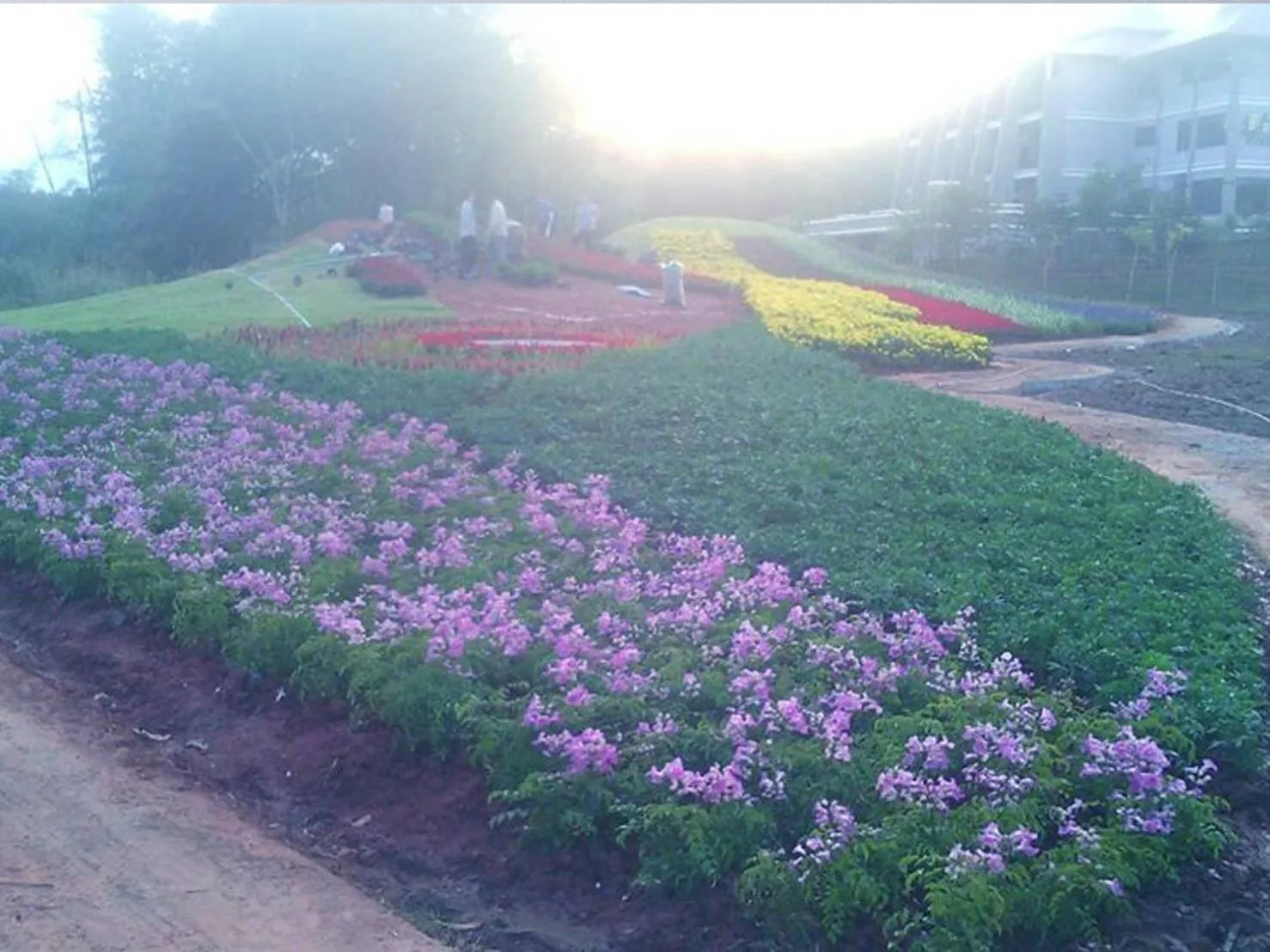 View (from property/room) in Phurua Sanctuary Resort and Spa