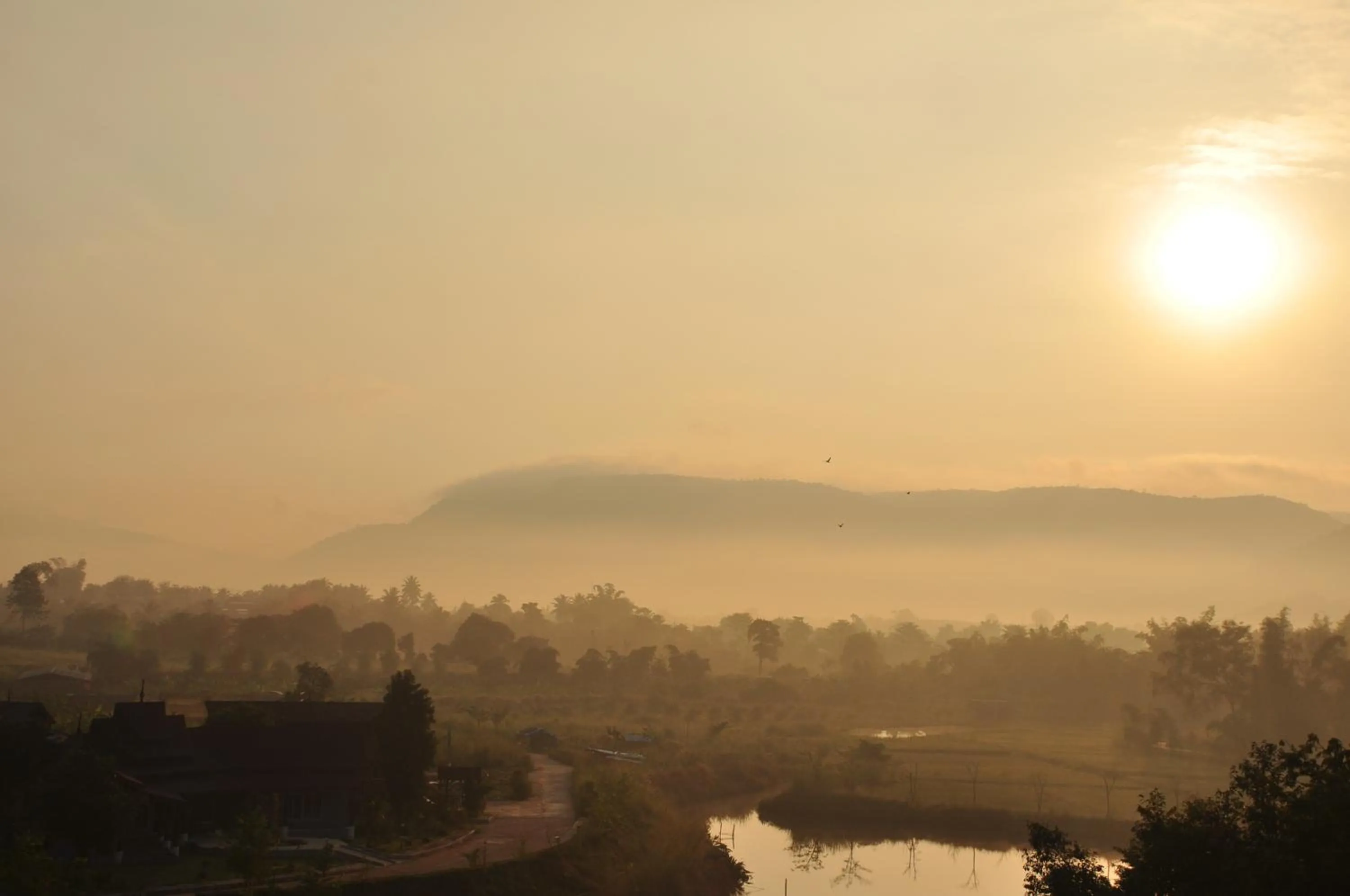 View (from property/room) in Phurua Sanctuary Resort and Spa