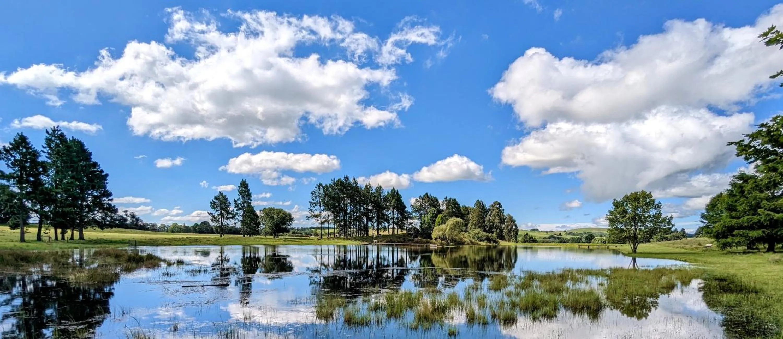 Landmark view in The FarSide Country Manor
