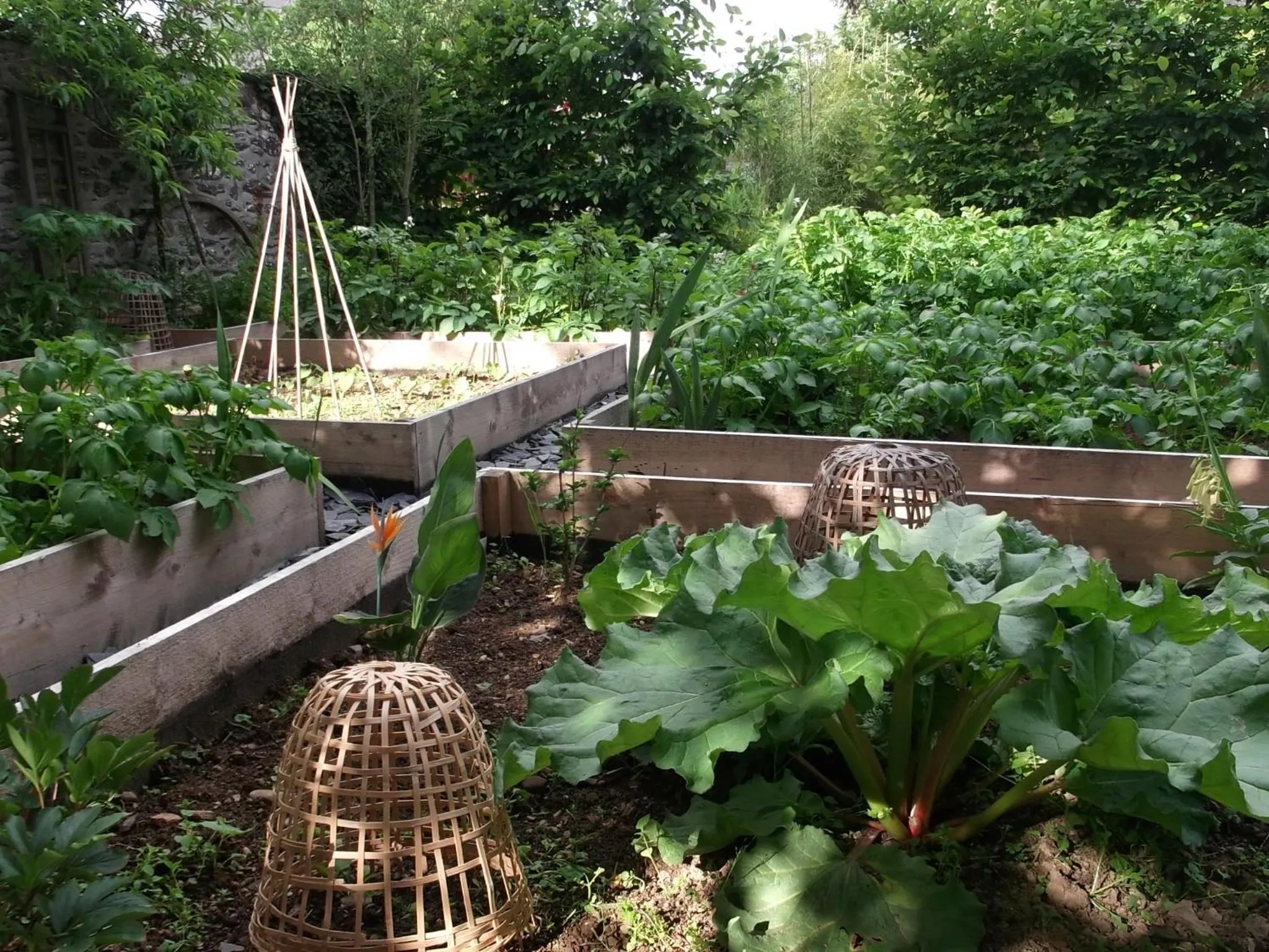Garden in La Sévinais
