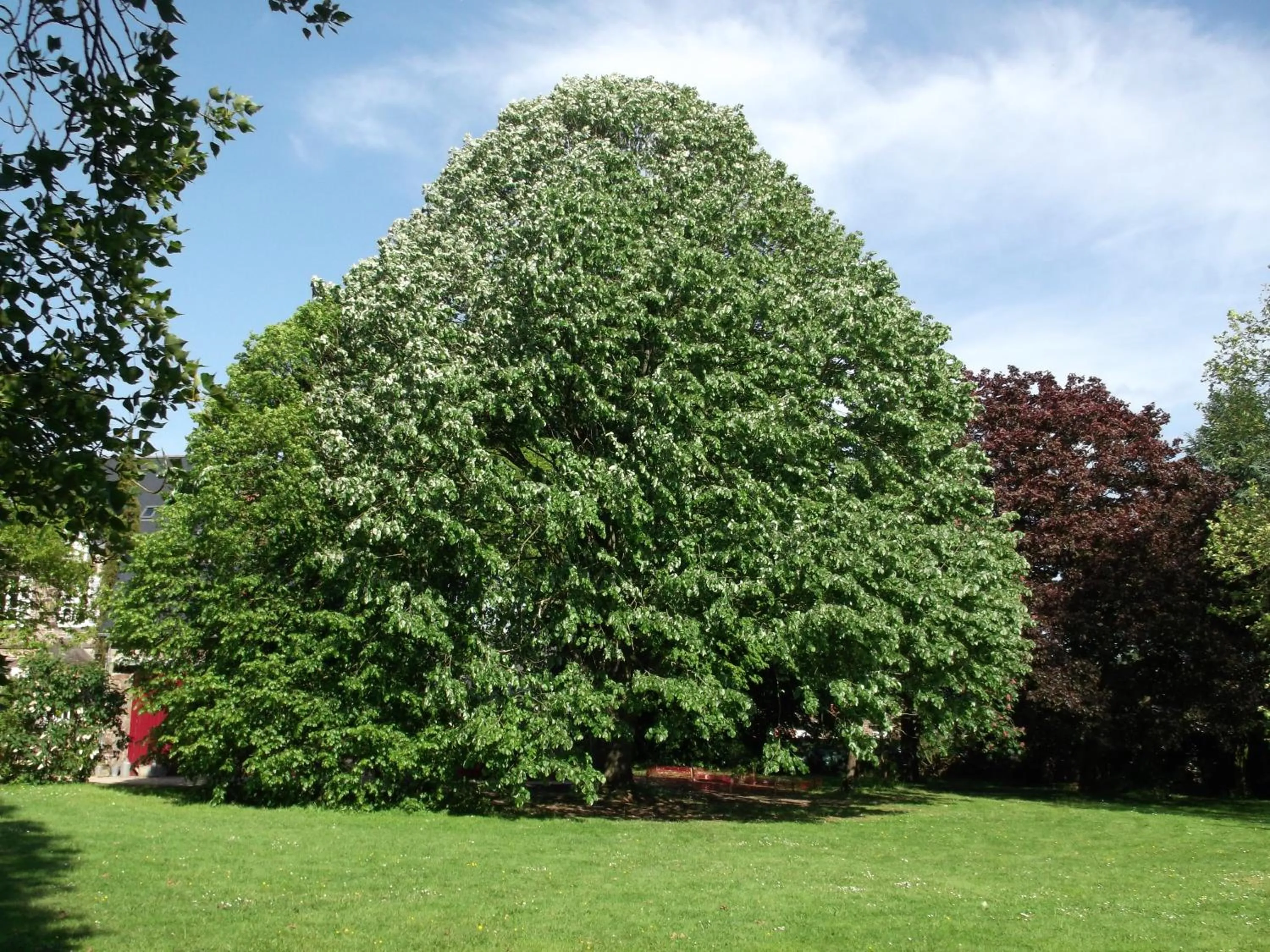 Garden in La Sévinais