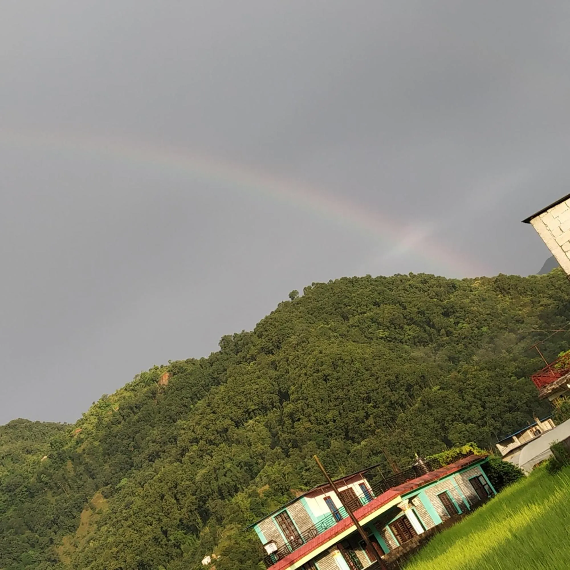 Summer in Bishnu Homestay