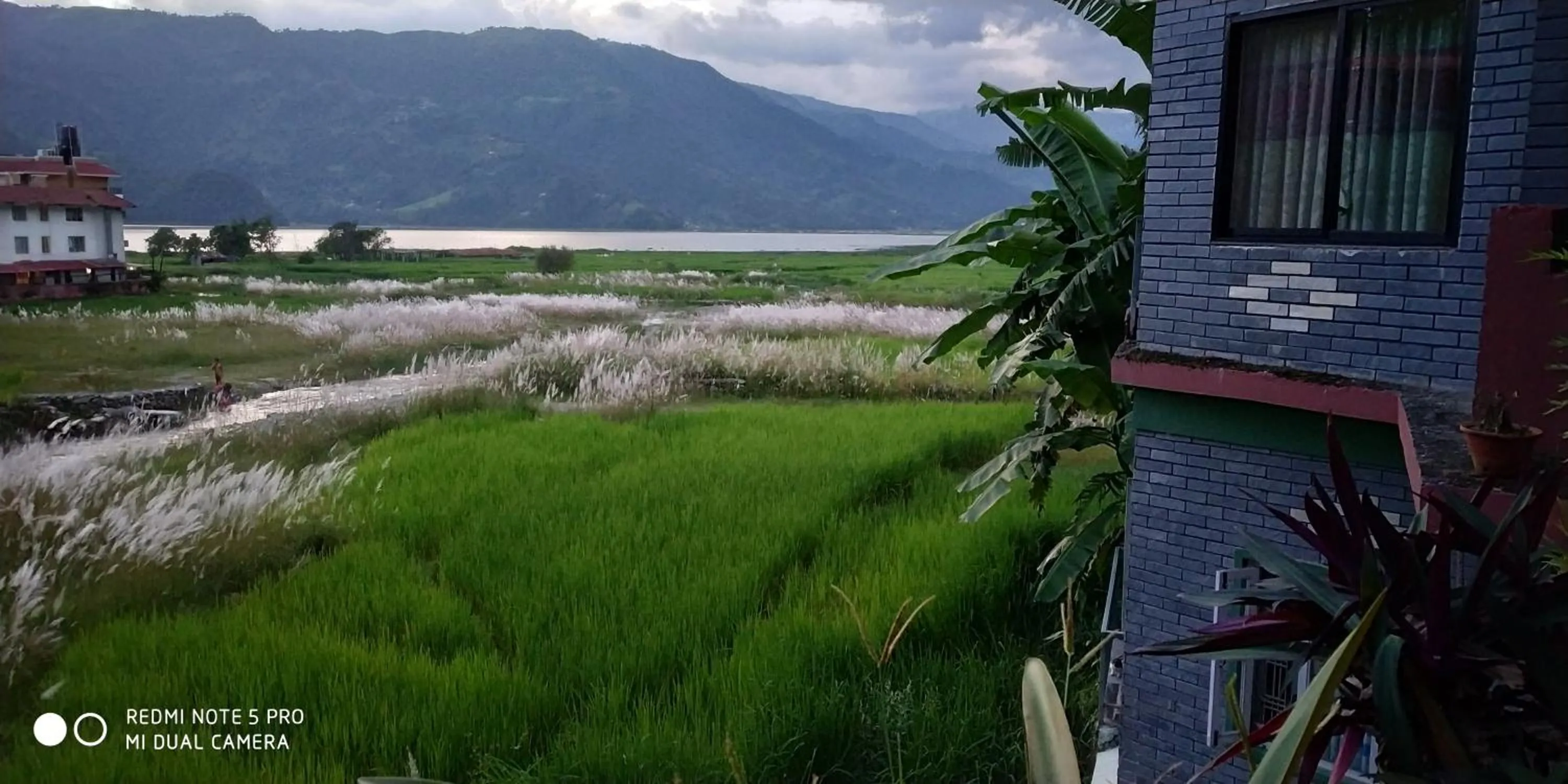 Natural landscape in Bishnu Homestay